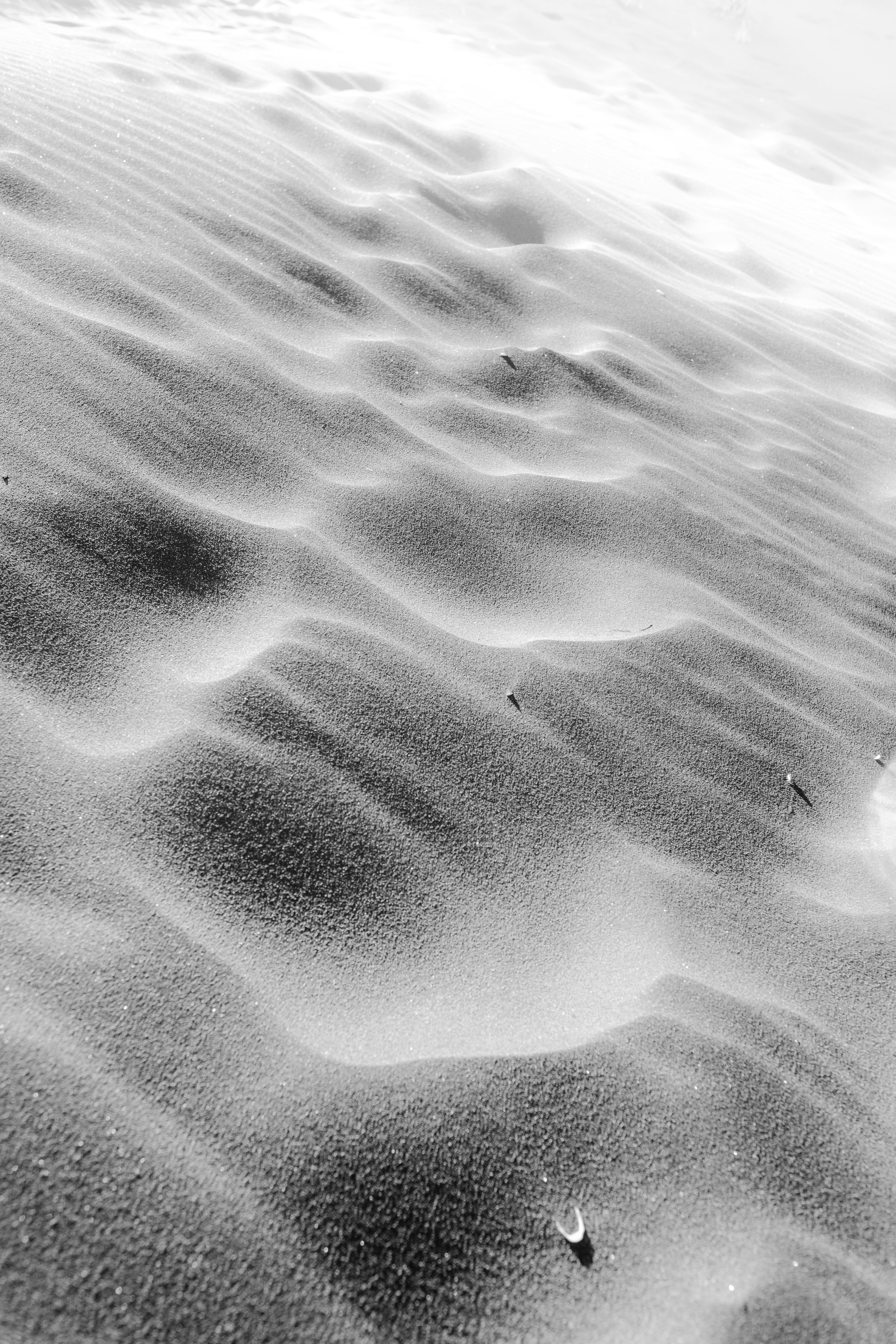 Photo by janfolwarczny