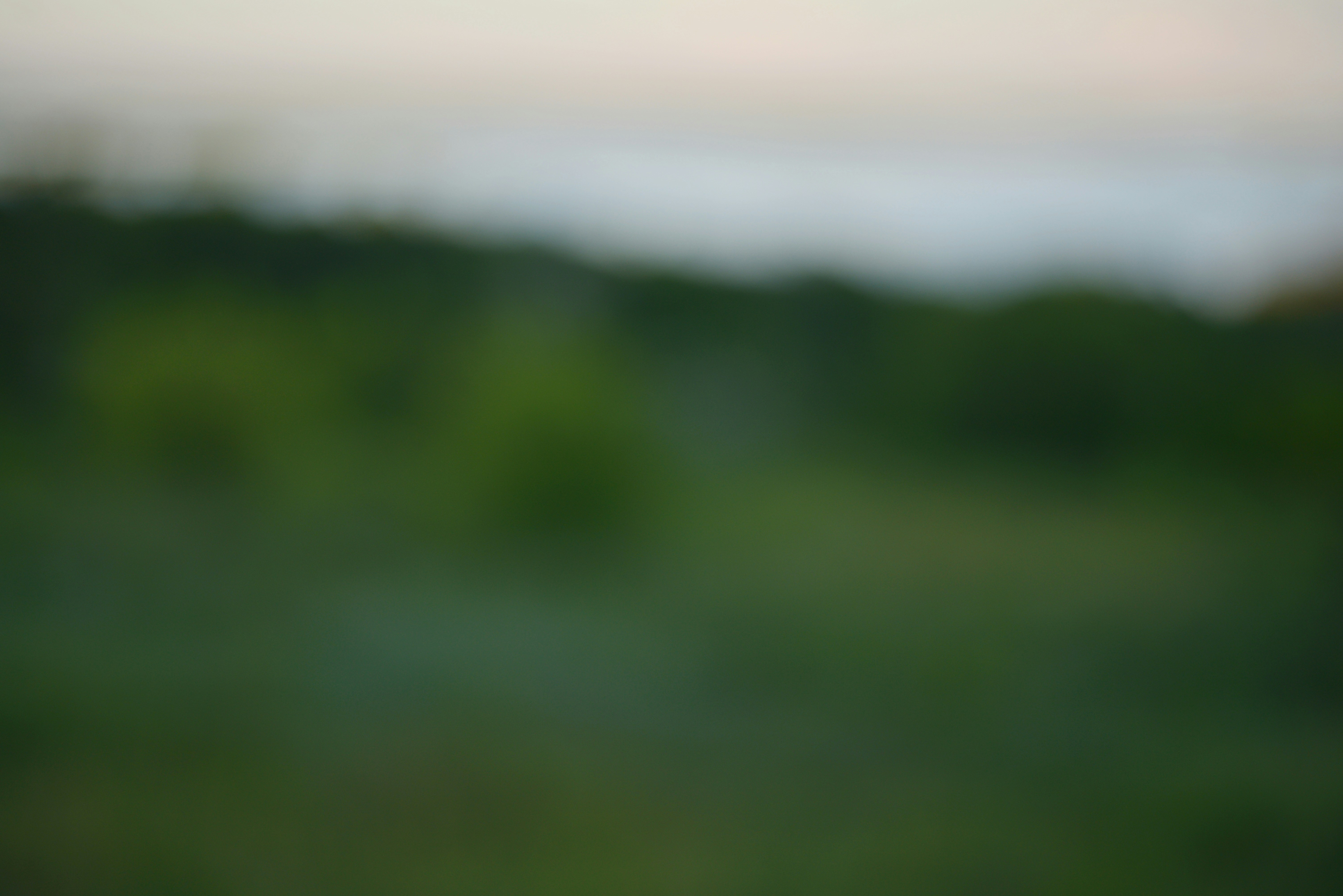 Softly blurred green field and distant horizon