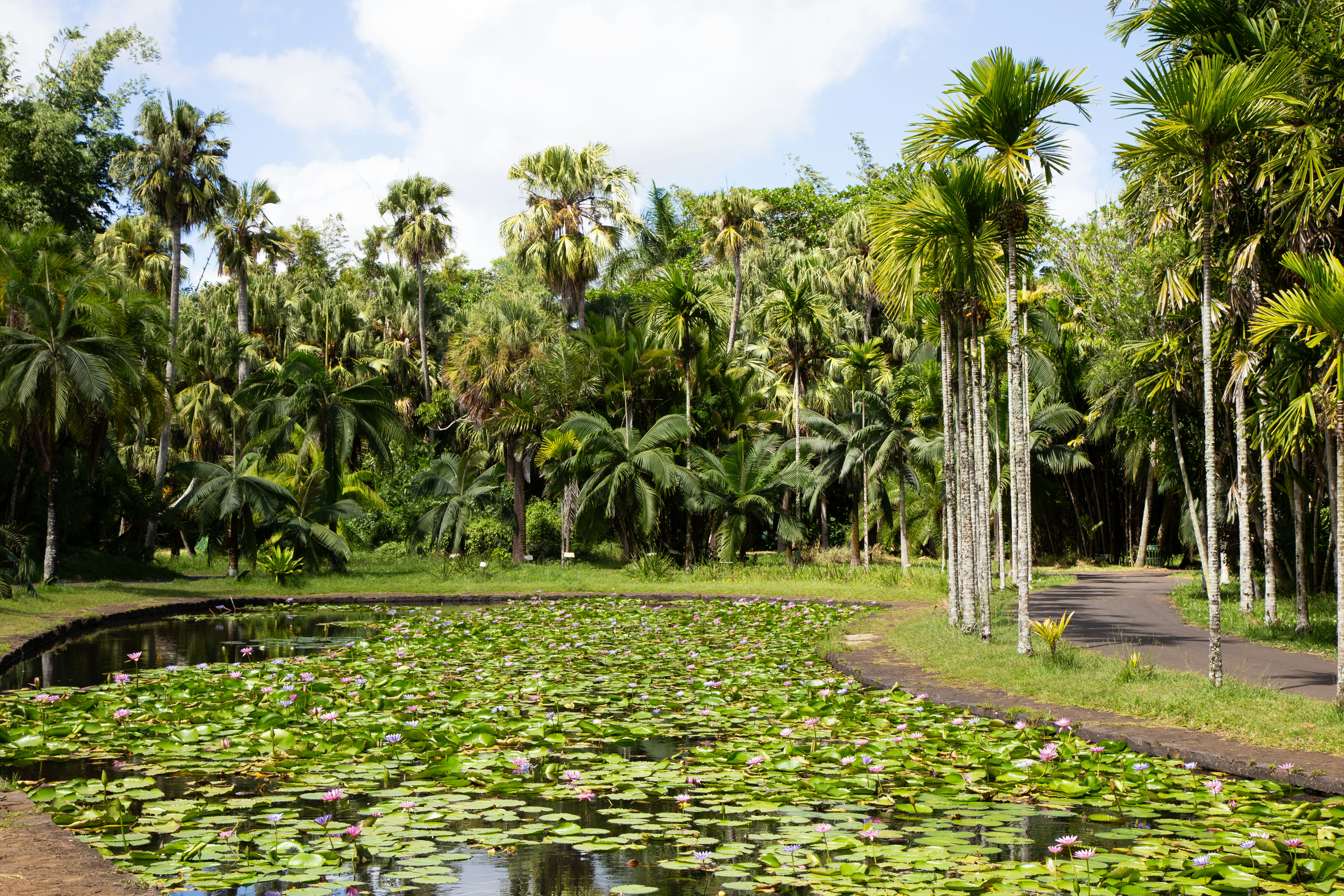 Mauritius – West- und Nordküste – Reisemotiv