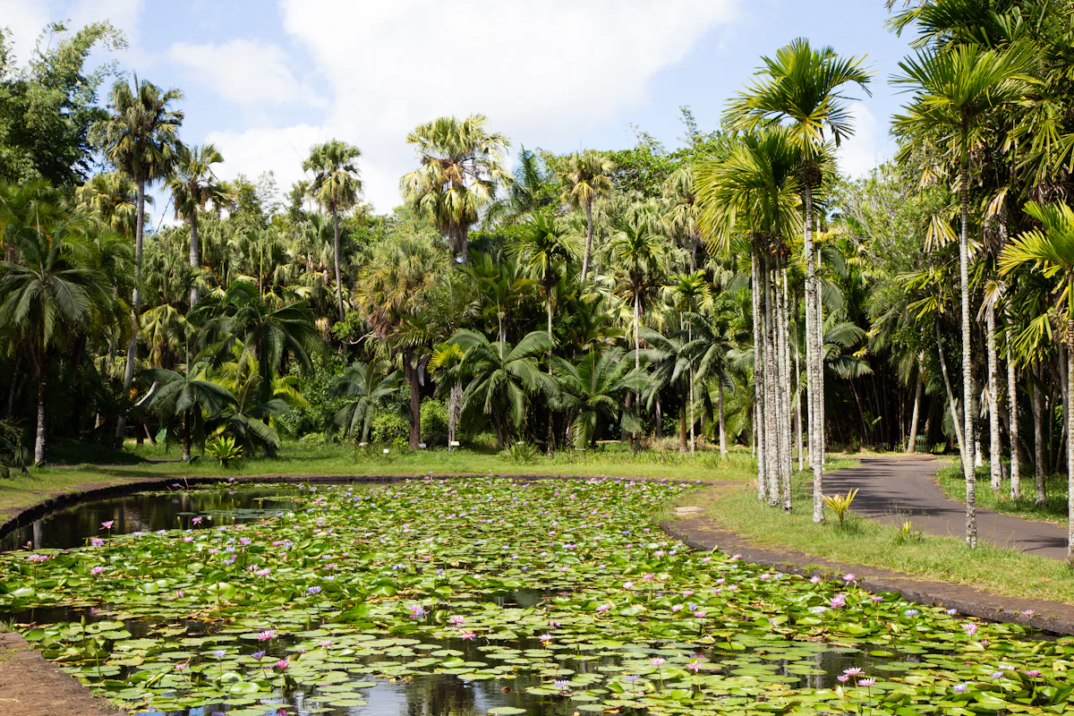 Peaceful Landscapes — Pamplemousses Botanical Garden, Mauritius