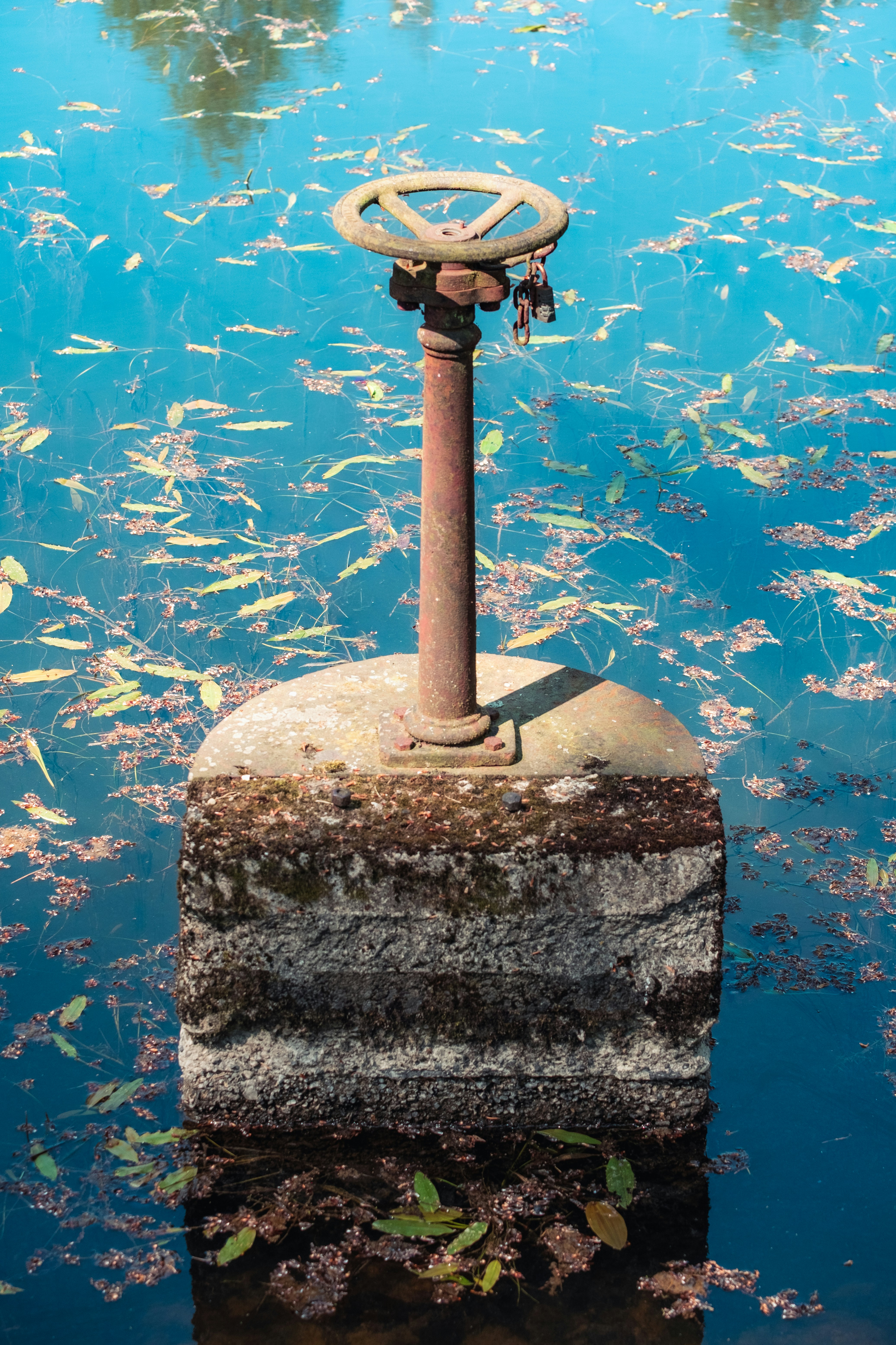 Une vieille vanne rouillée sur un pilier en béton dans une eau calme.