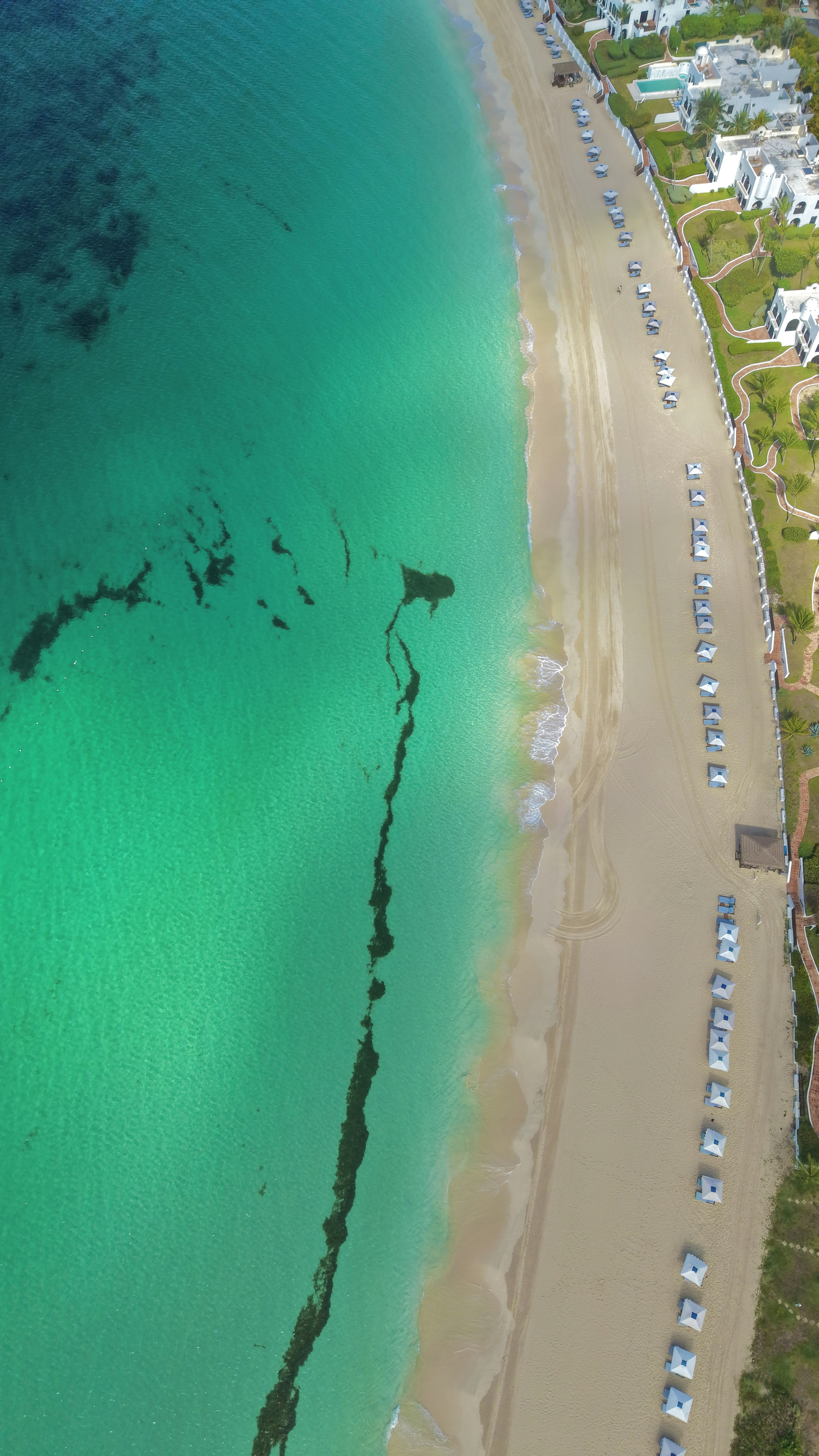 Turquoise water, sandy beach, white umbrellas, and resort buildings.