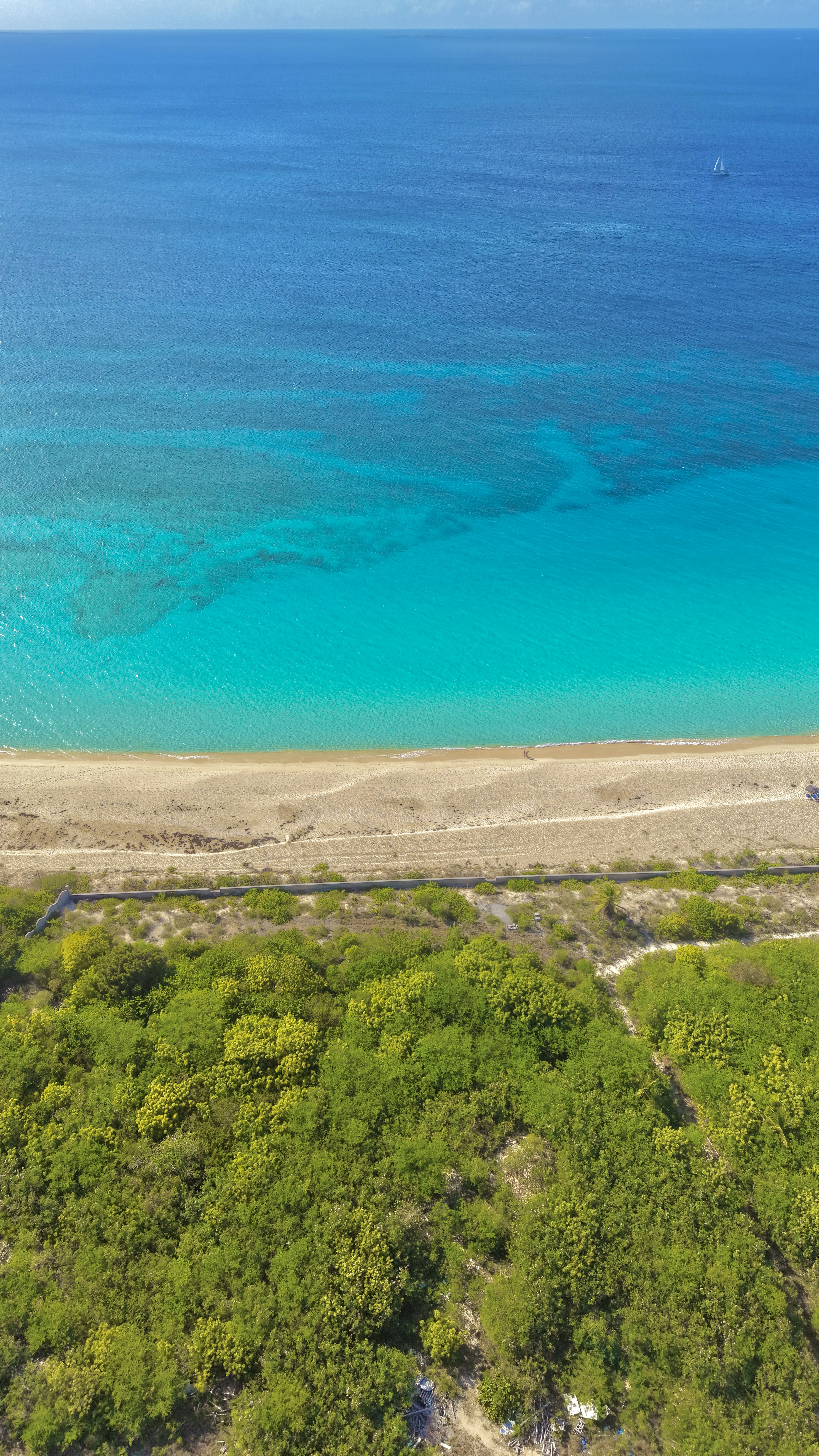 Tropical coastline with turquoise sea, golden sand, and lush green.
