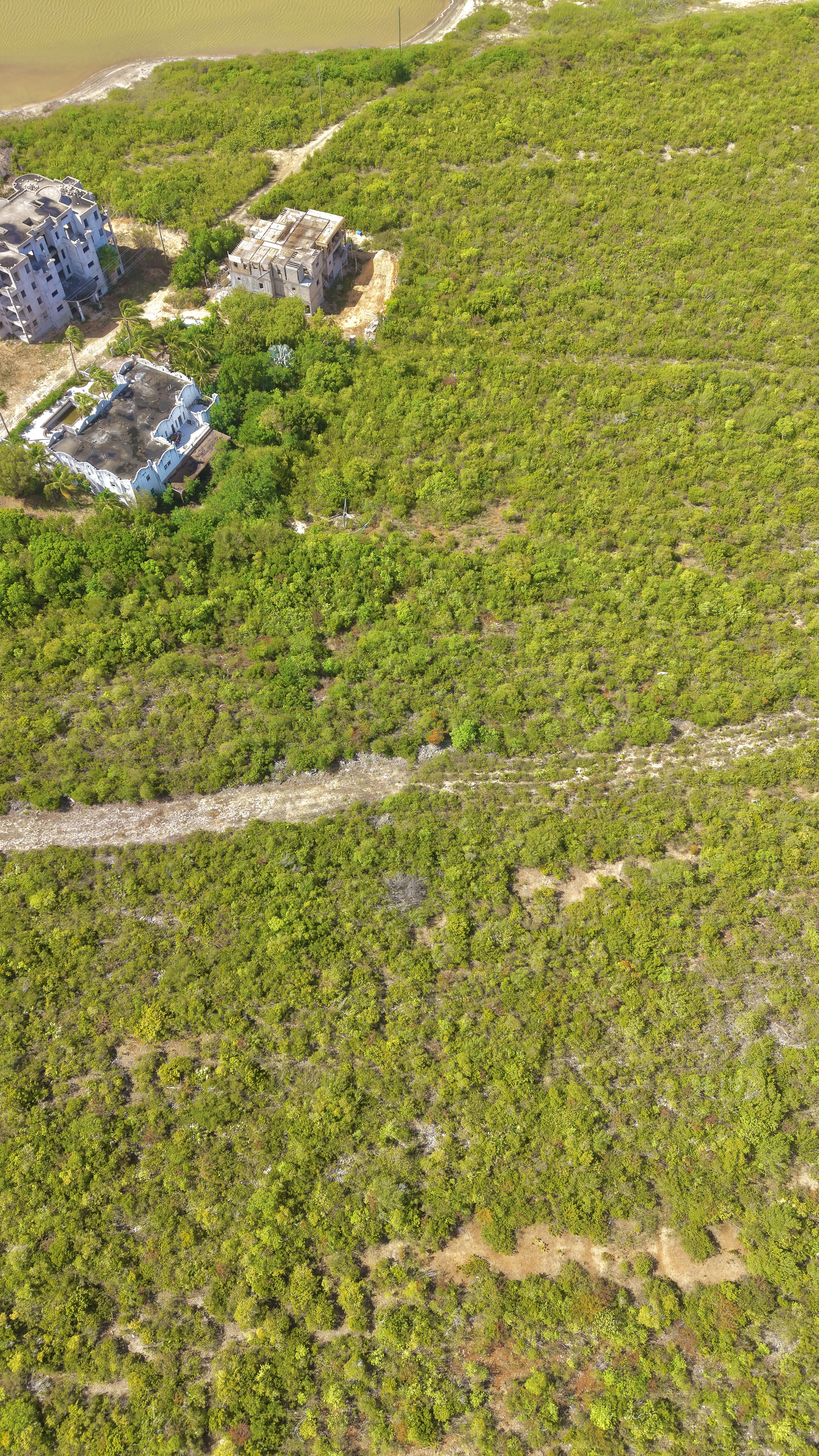 Green landscape with unfinished buildings and winding dirt paths.
