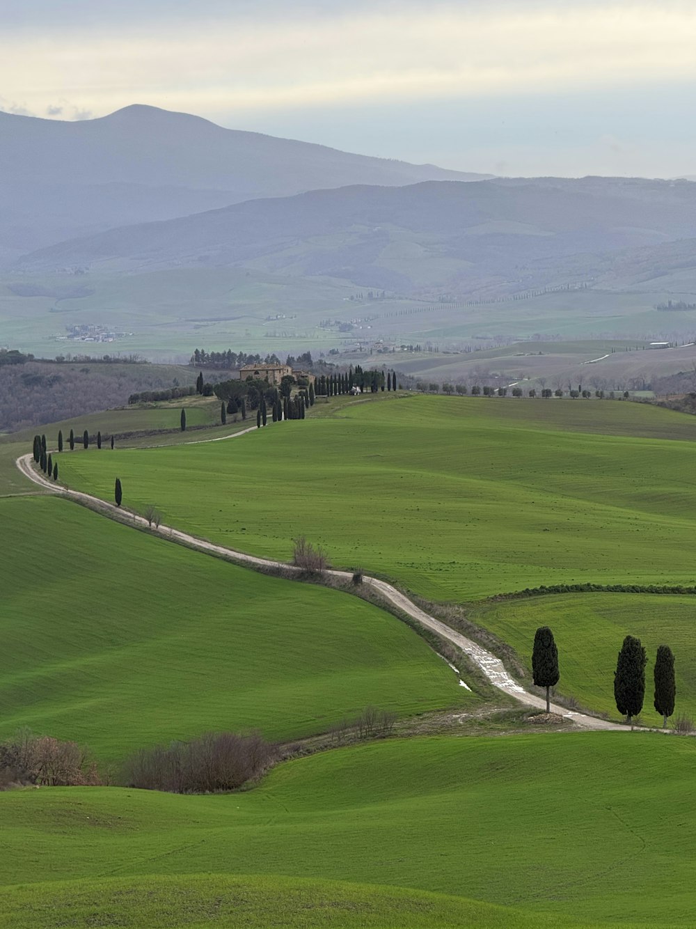 Estrada de ciprestes no Val d'Orcia