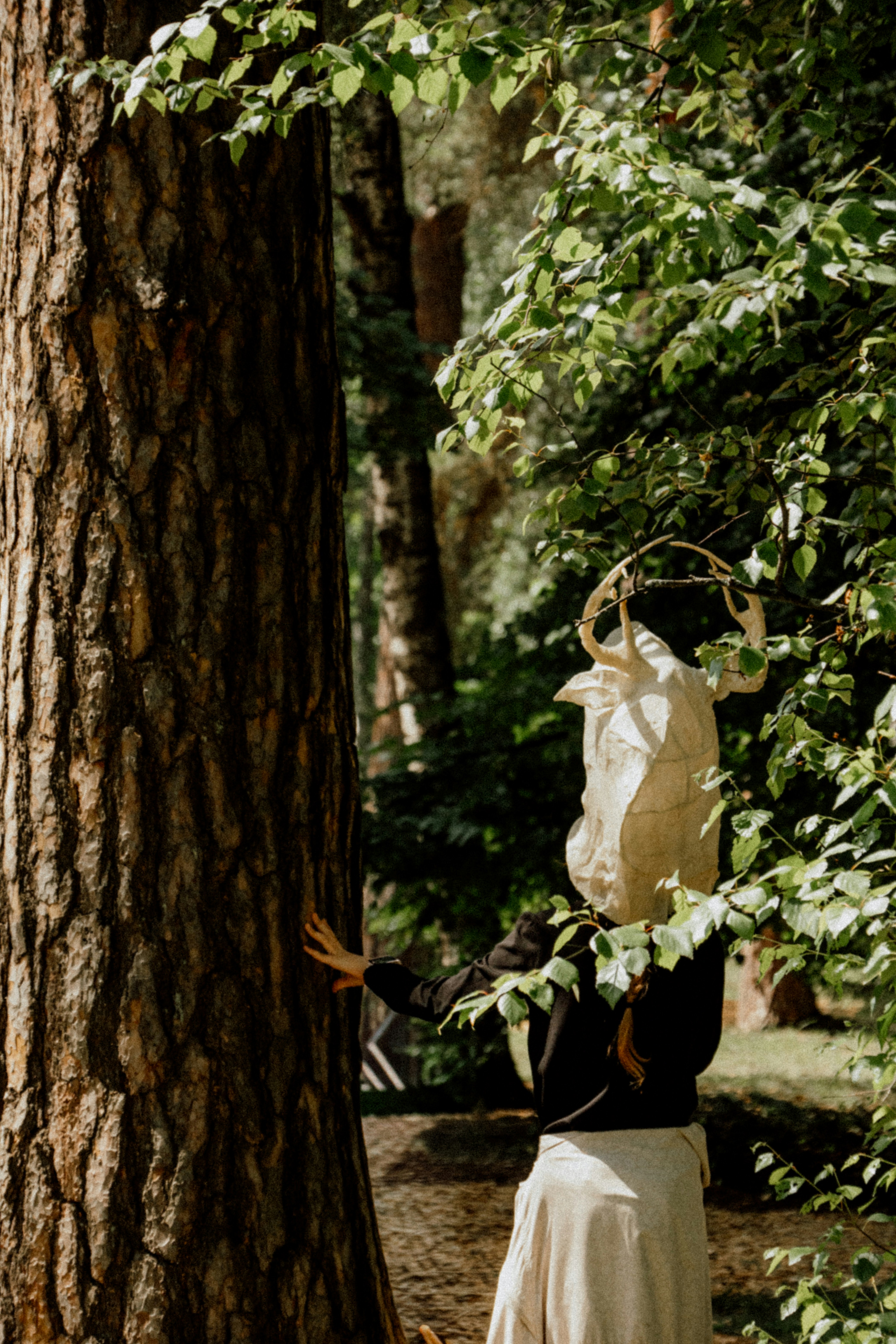 enchanted forest wedding, wallpaper, Outdoor Forest Wedding Trends 2026: The Ultimate Woodland Guide 4