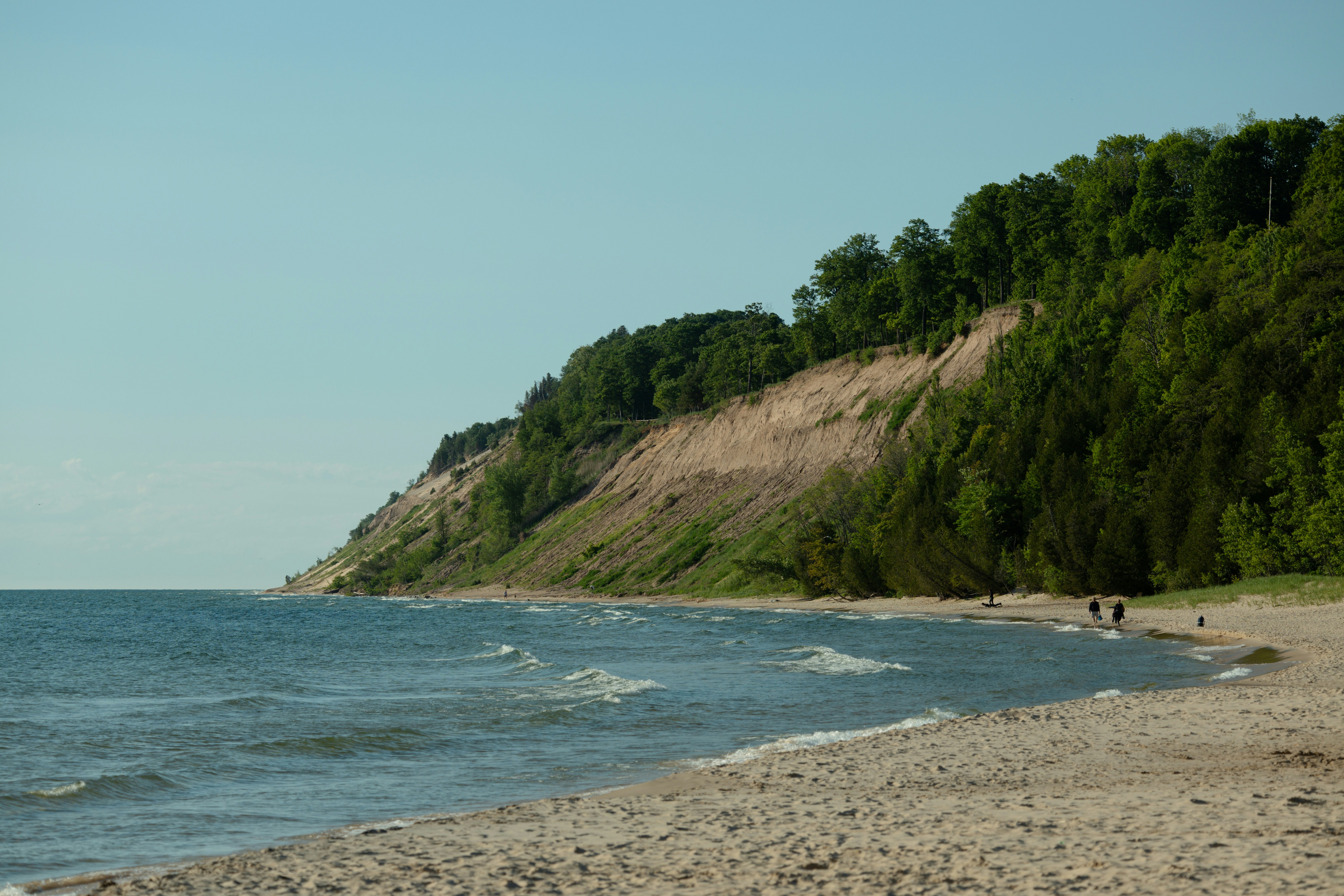 Beach with waves, tree-covered cliff, and blue sky