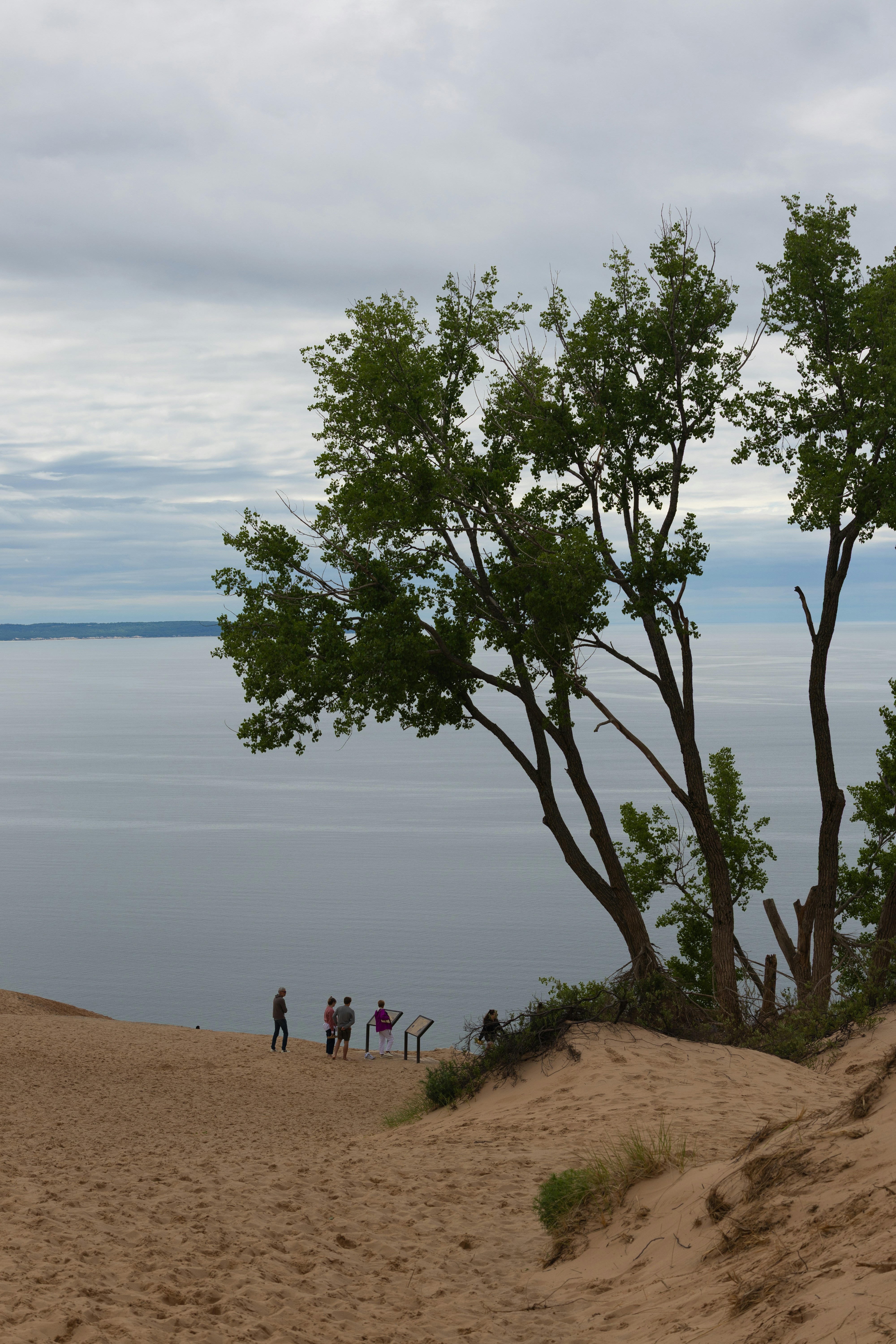 Árboles y gente en dunas de arena con vistas a un gran lago - Foto ...