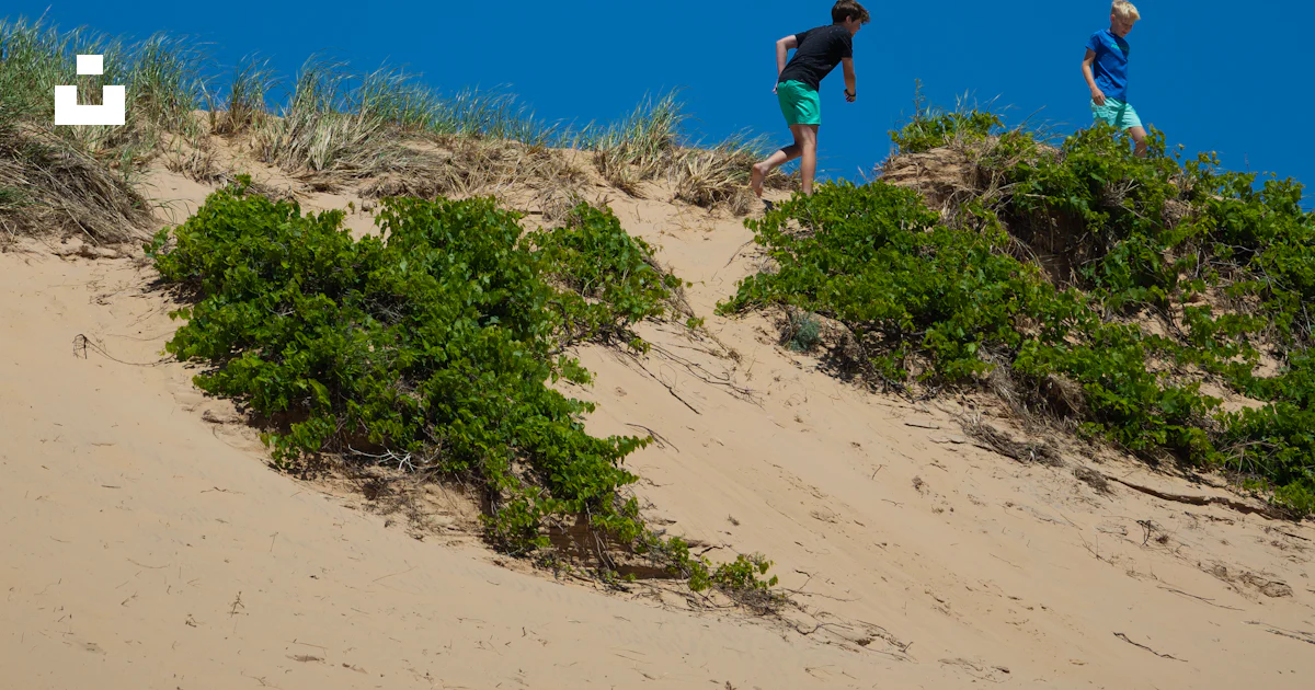 Stack Lakeshore Dos niños subiendo por una duna arenosa con plantas verdes - Foto ...