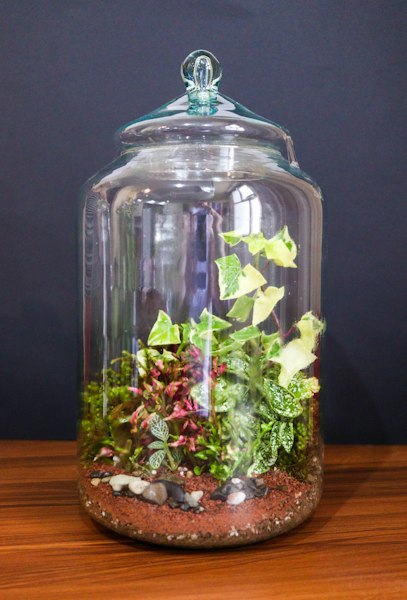 Geometric Glass Terrarium Planter