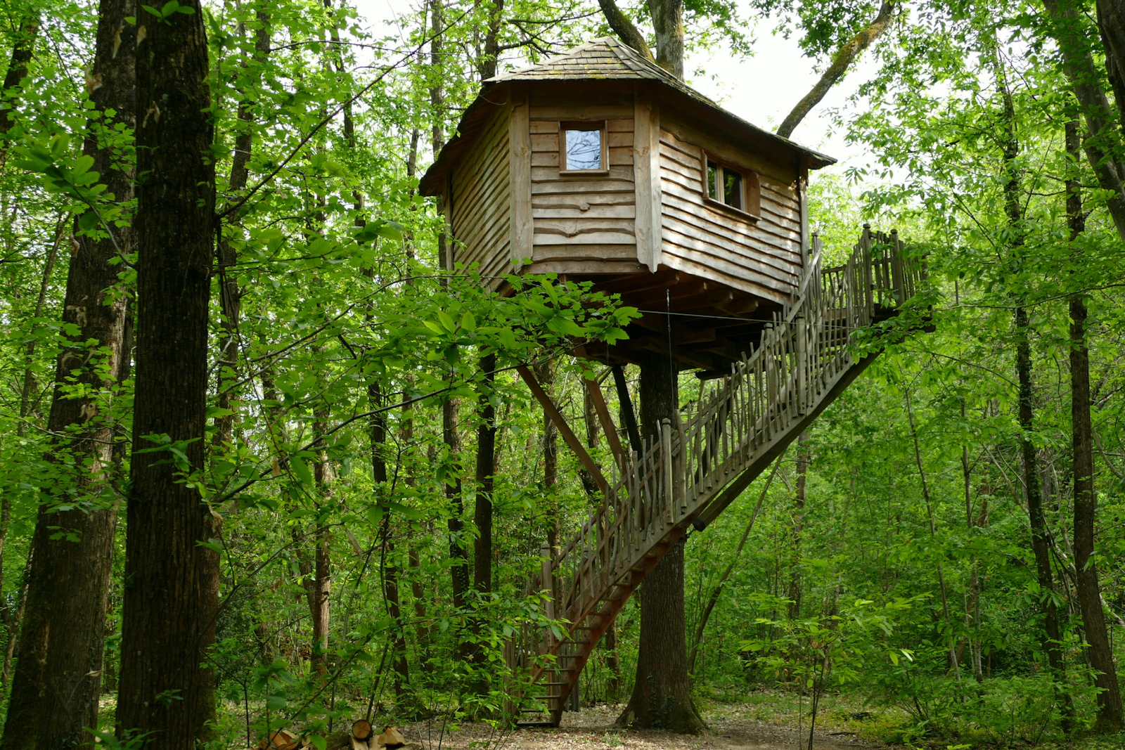 Glamping Roble (foto 1 de 2)