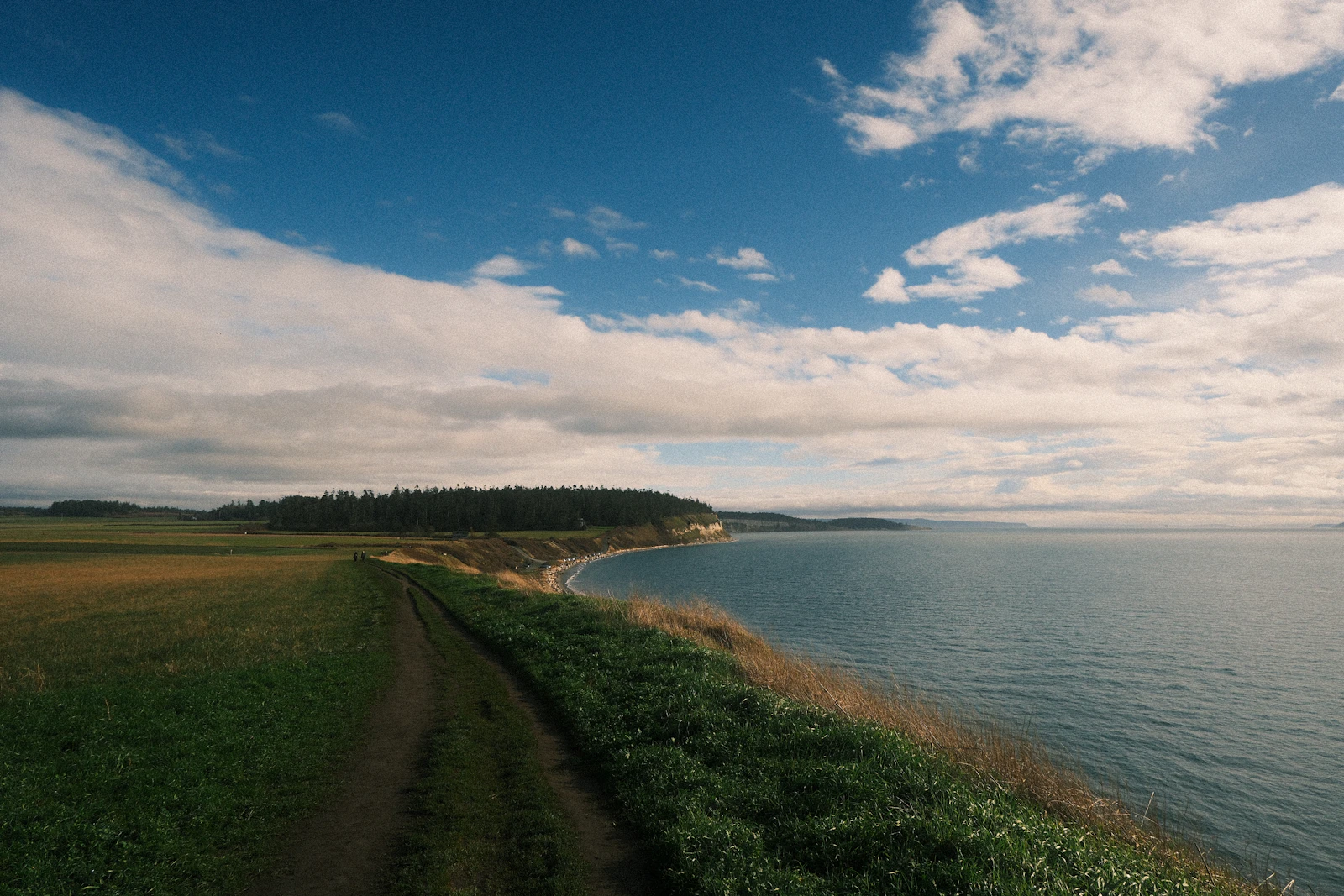 Coastal path beside a green field and calm ocean