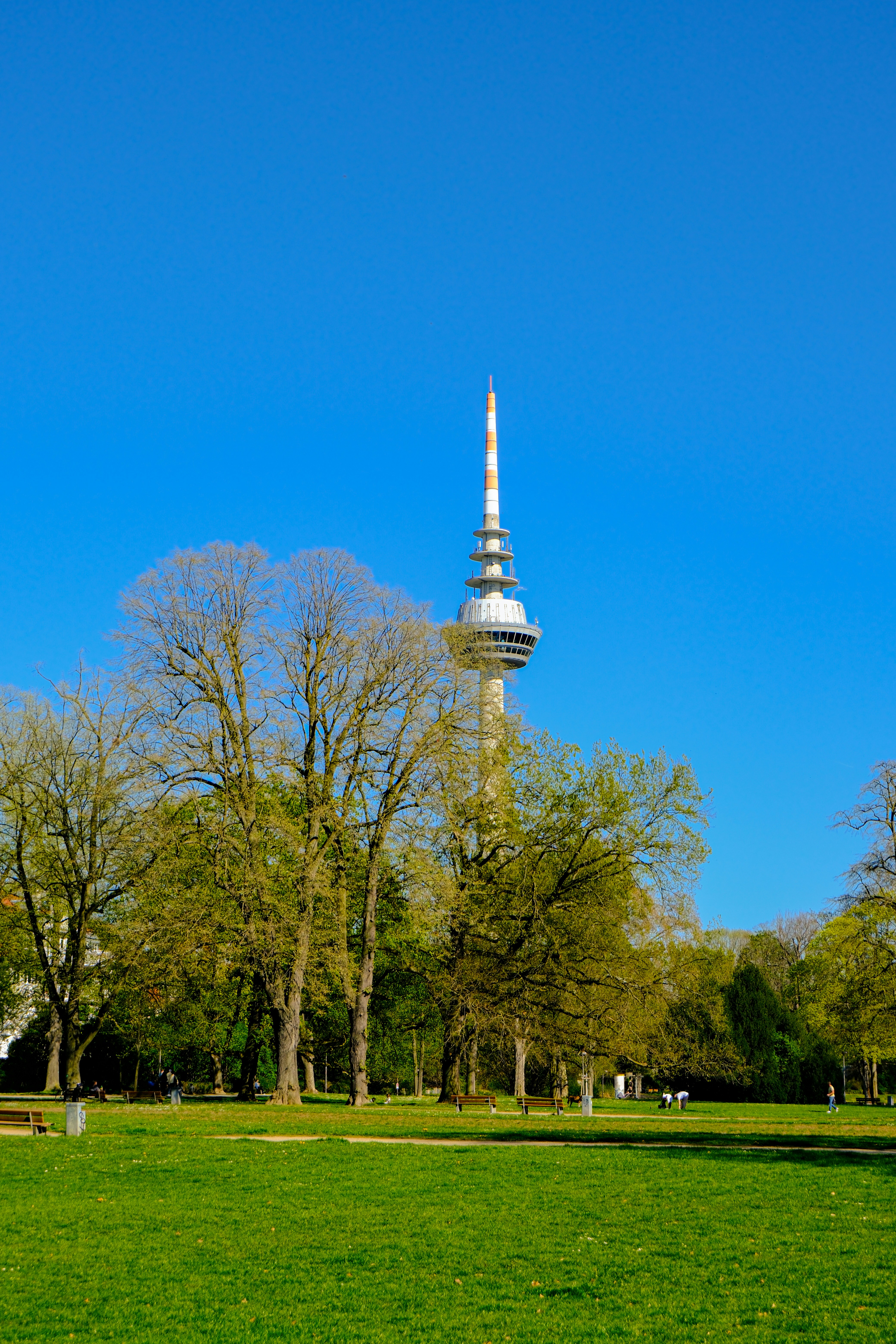 A tall television tower stands above green trees and grass.