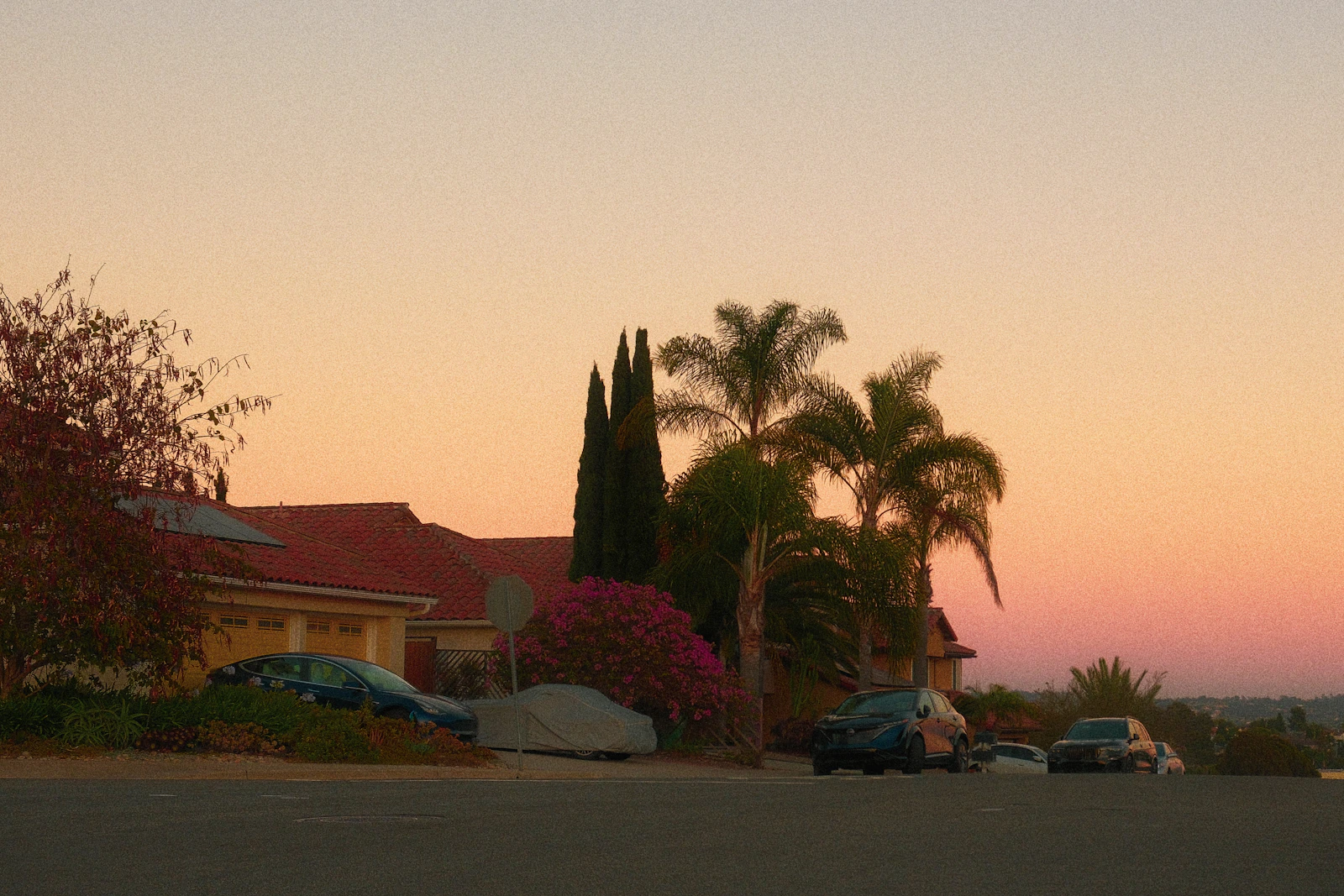 A residential street of homes and palm trees at sunset