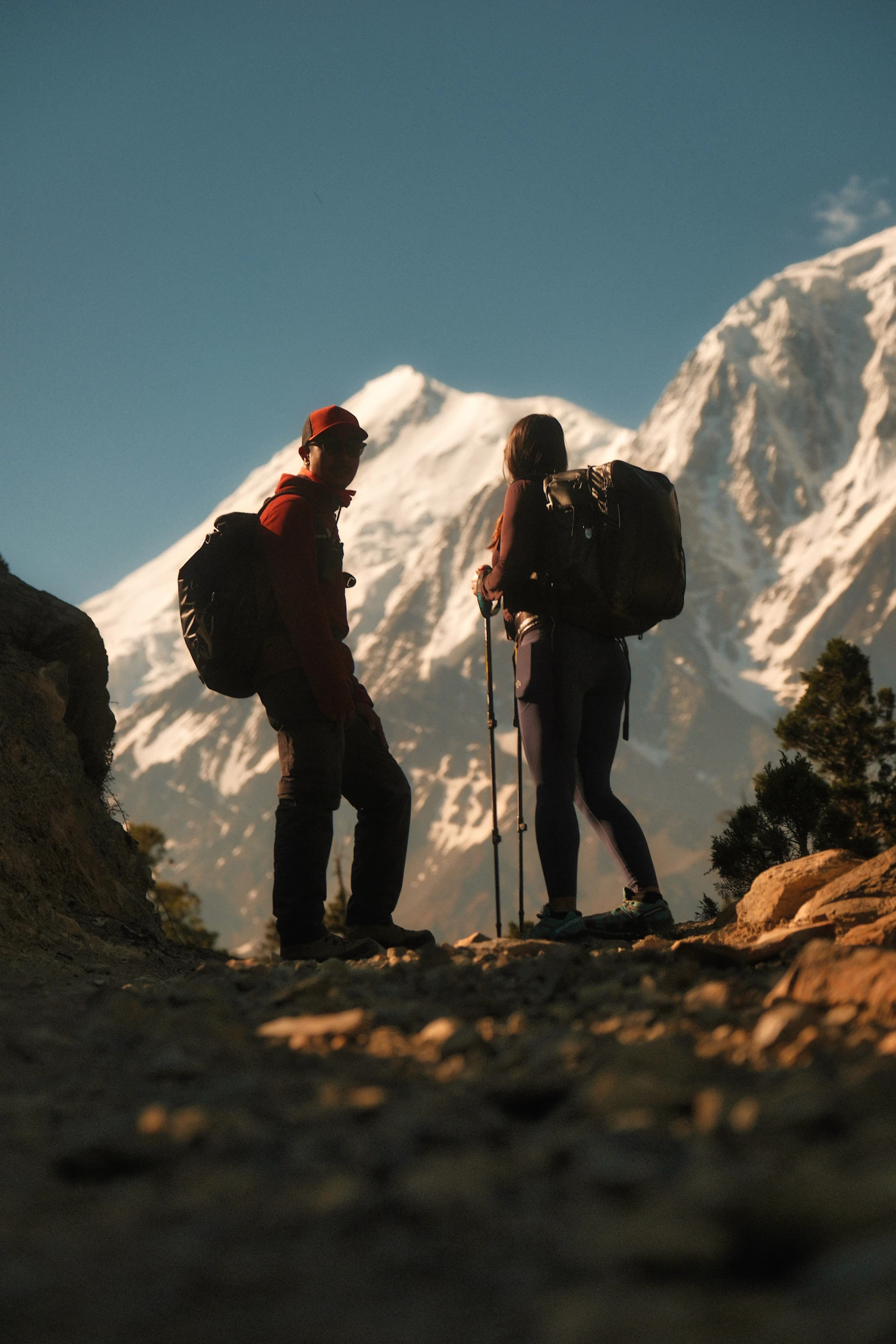 Meadow Trekking Poles