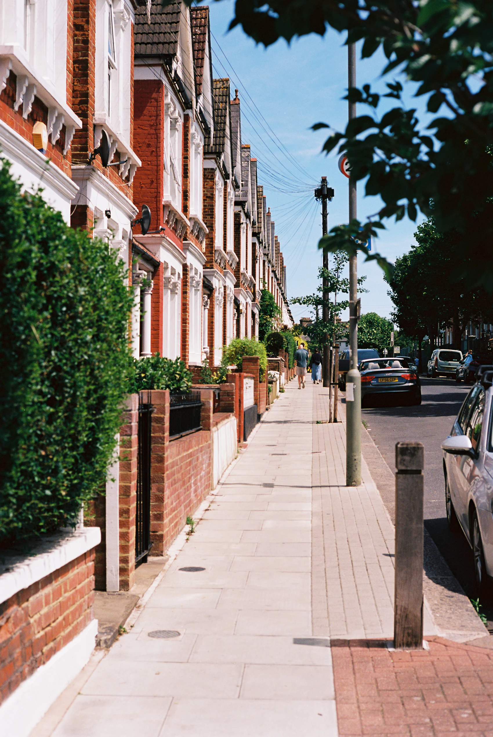 Tree-lined Chicago residential street of brick homes