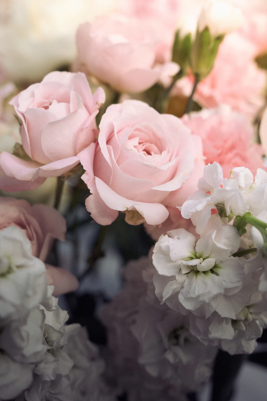 Ramo de rosas rosadas y flores blancas
