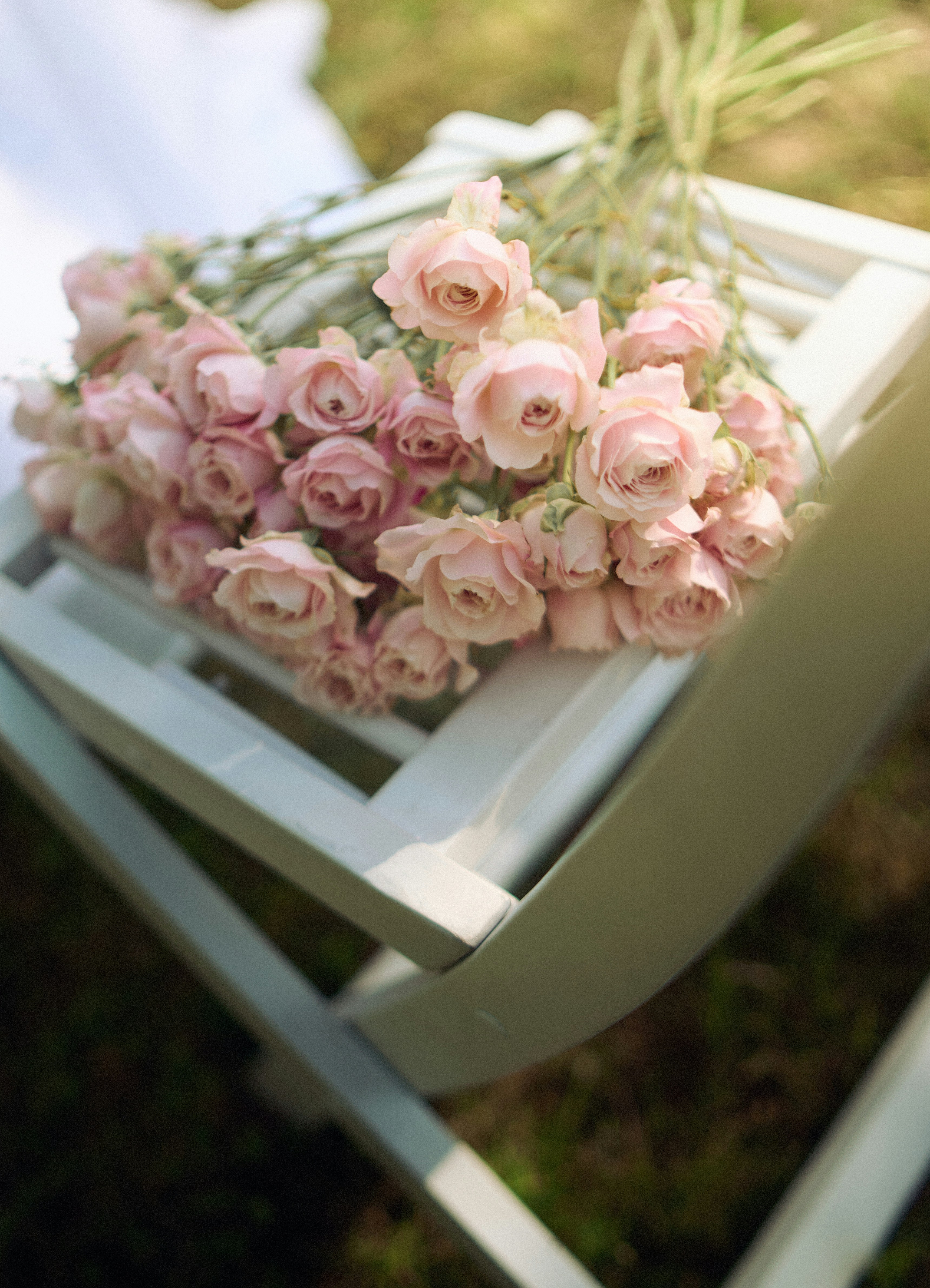romantic garden wedding aesthetic, wallpaper, Simple Garden Wedding Decoration Ideas: Pinterest-Inspired Guide 6