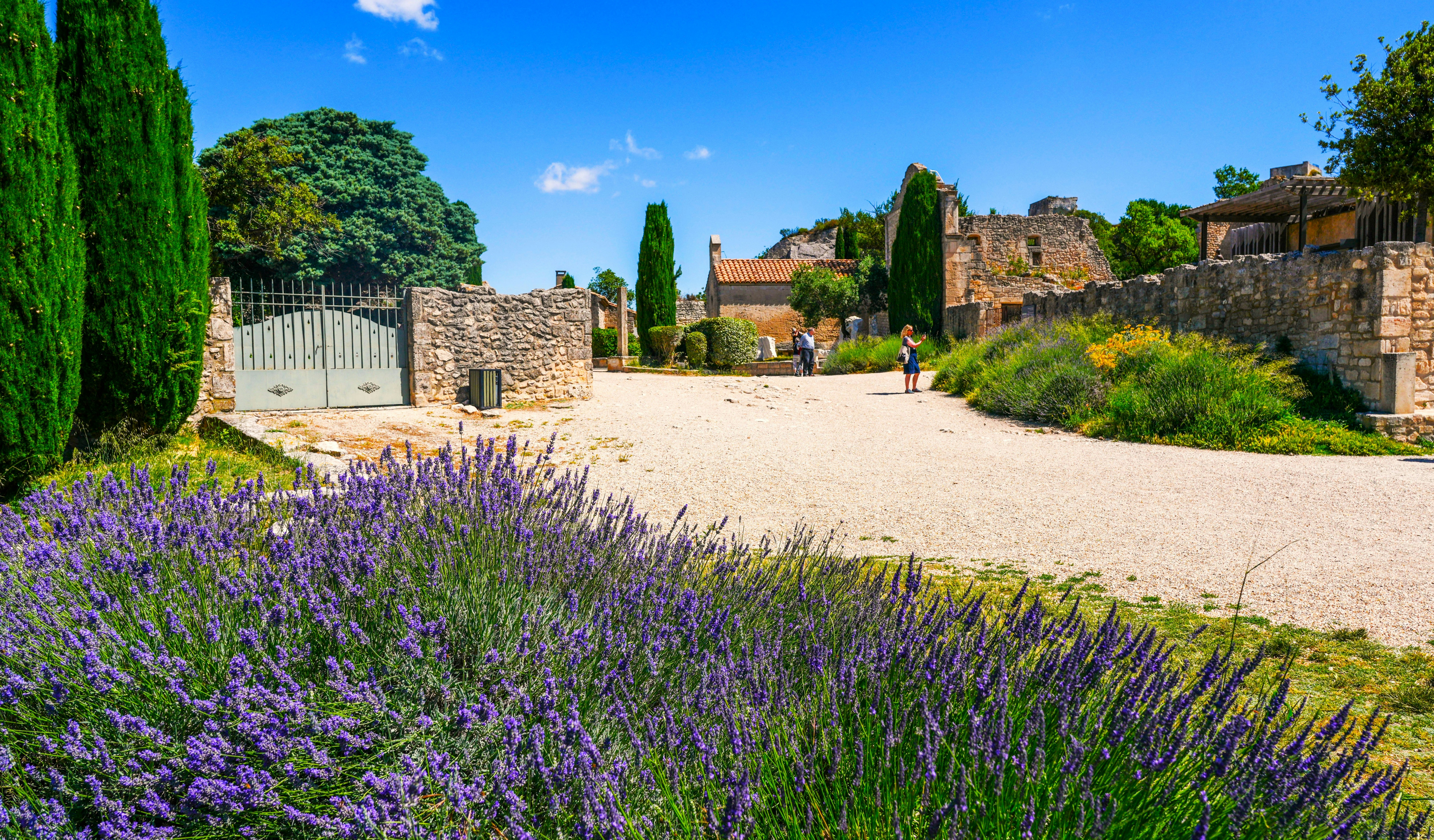 Paysage provençal avec lavande et architecture en pierre