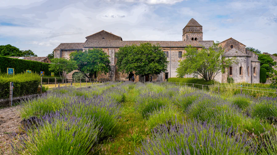 Saint-R&eacute;my-de-Provence