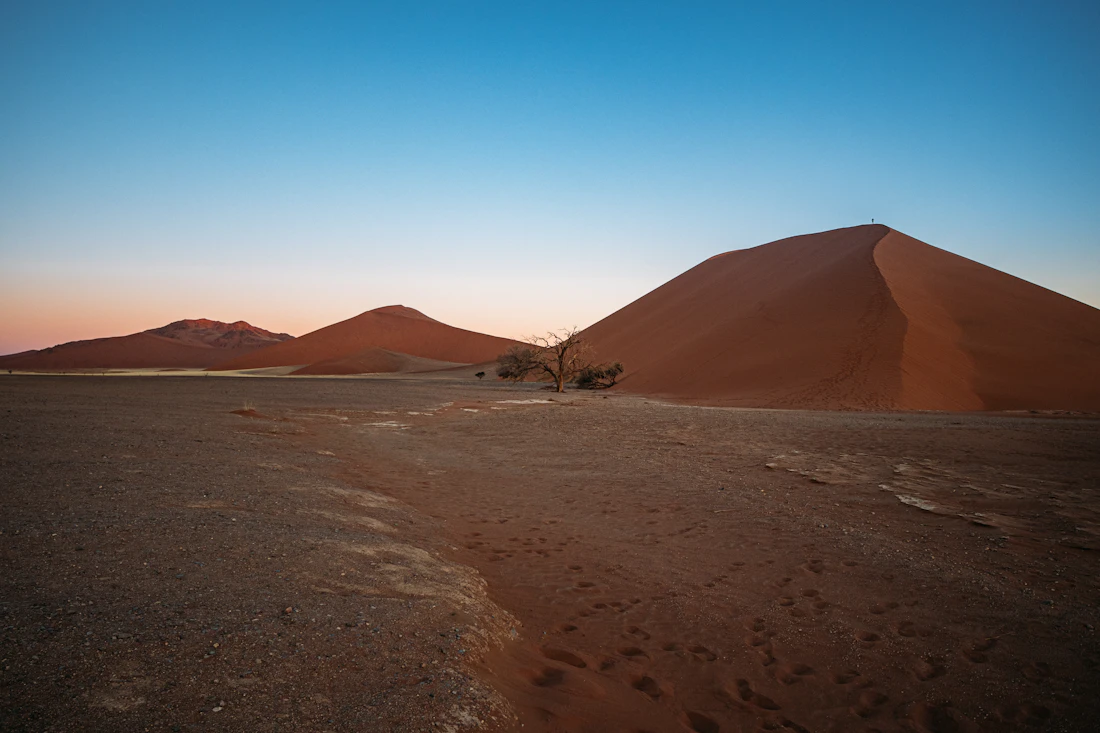 A single sculpted red sand dune curving across the desert at sunrise in Namibia