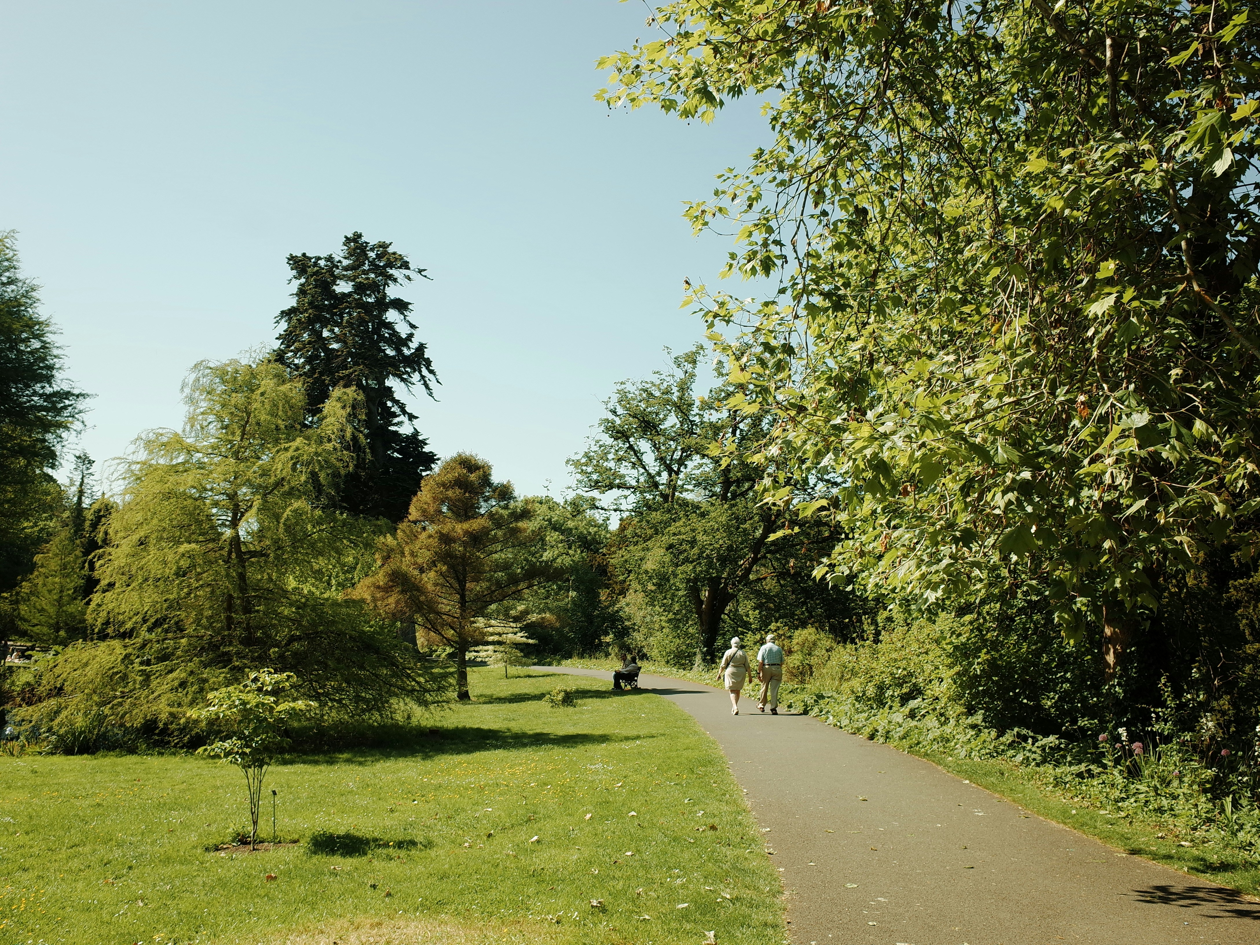 People walking a path in a sunny park