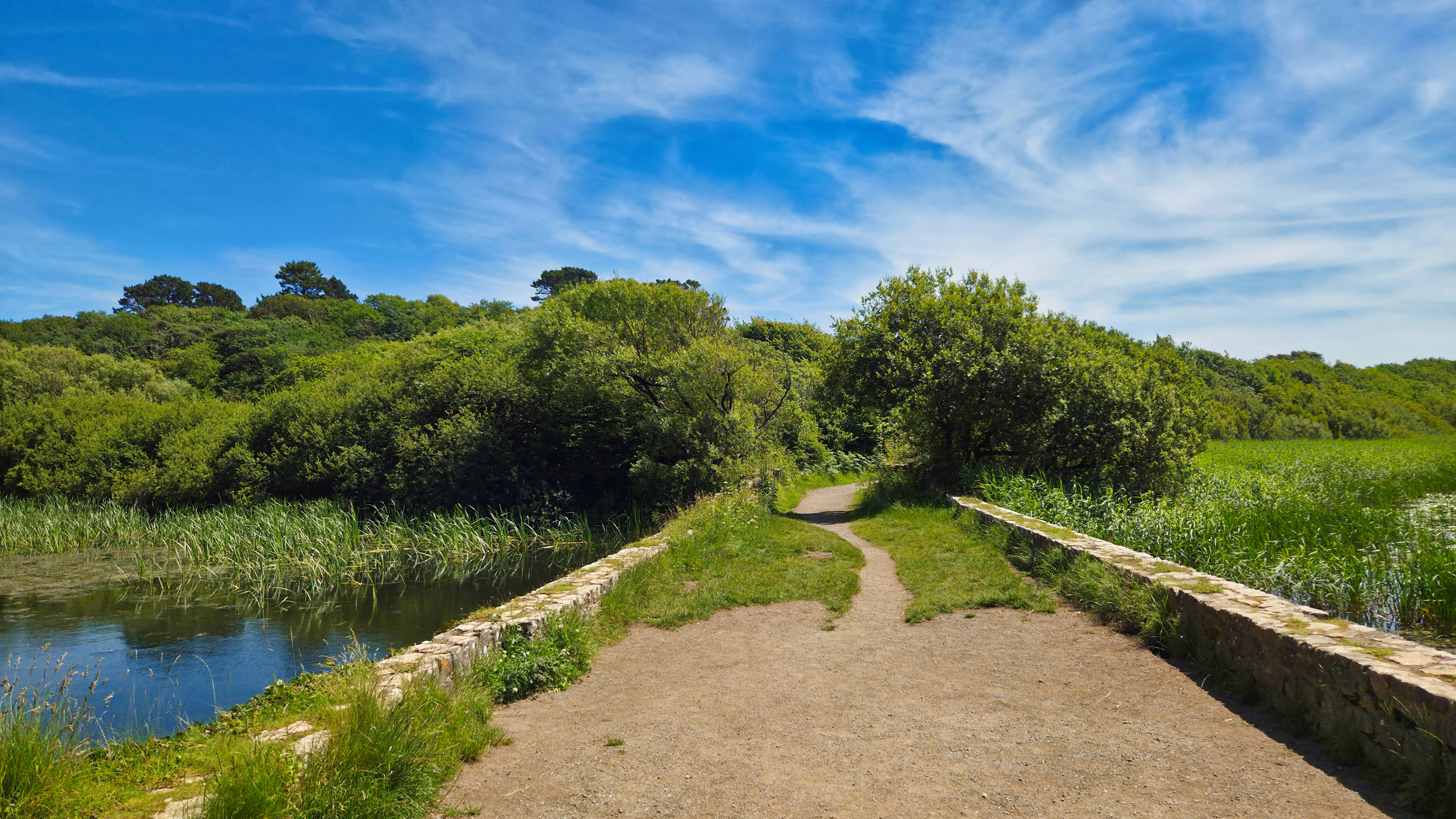 Grassy Bridge