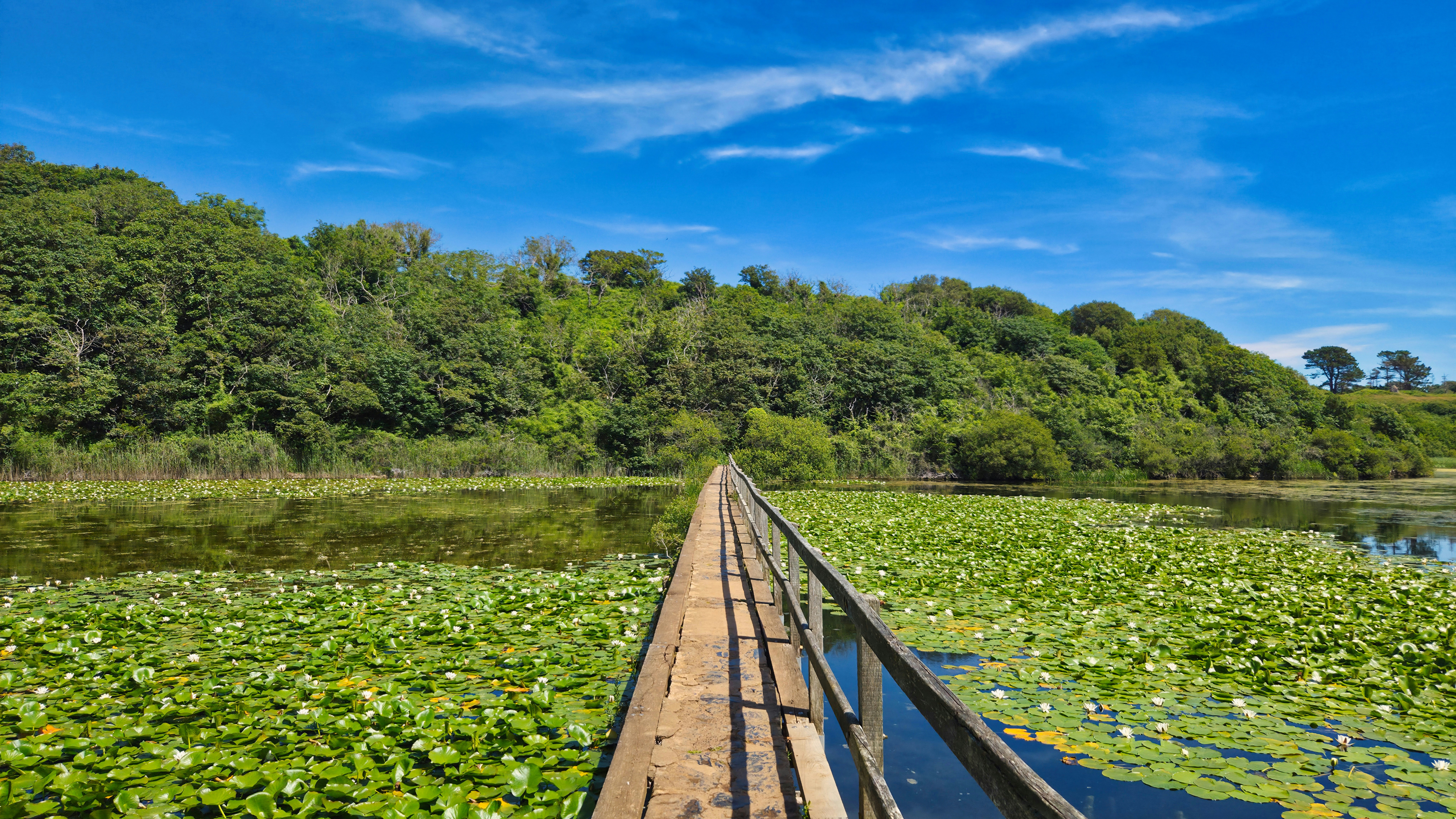 Bridge Across the Pond