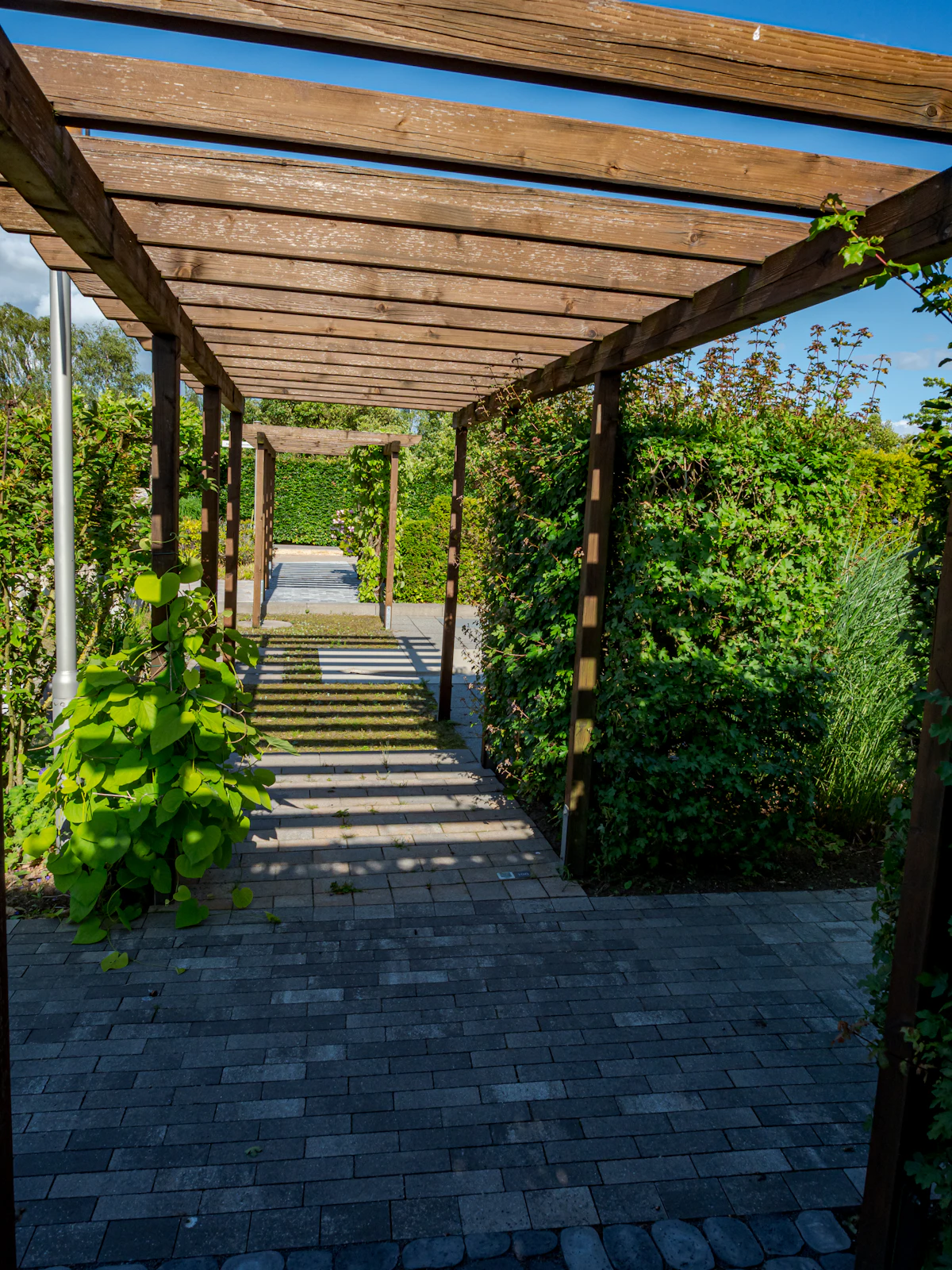 Pergola Walkway