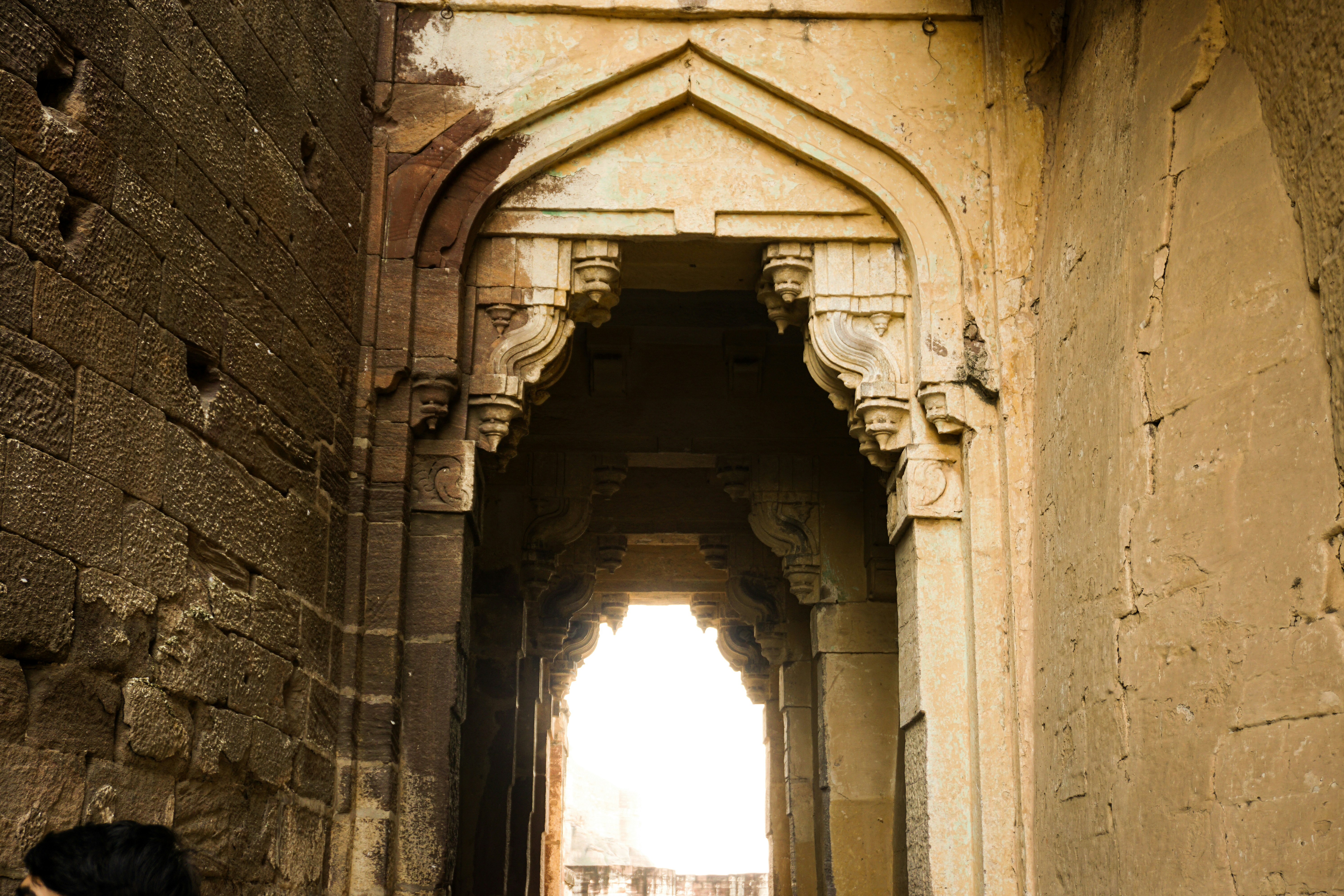 Photo by kushalib15