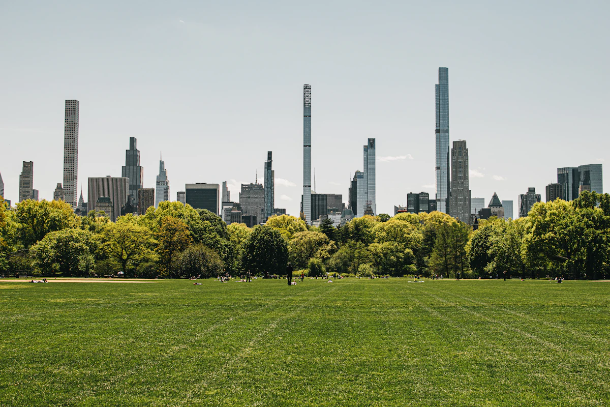 Central Park's Great Lawn with the Manhattan skyline rising behind the trees