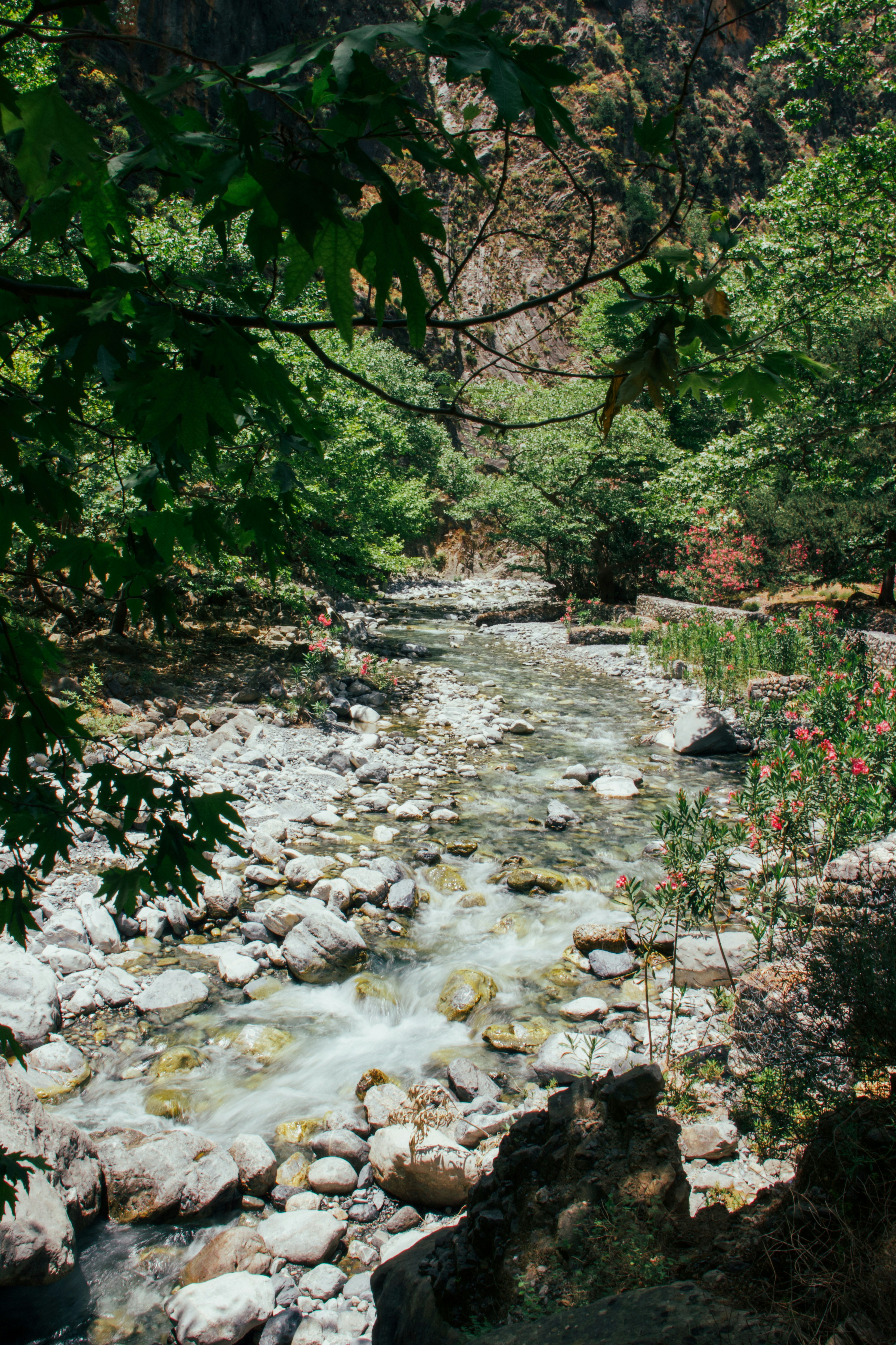 A rocky stream flows through a lush green valley