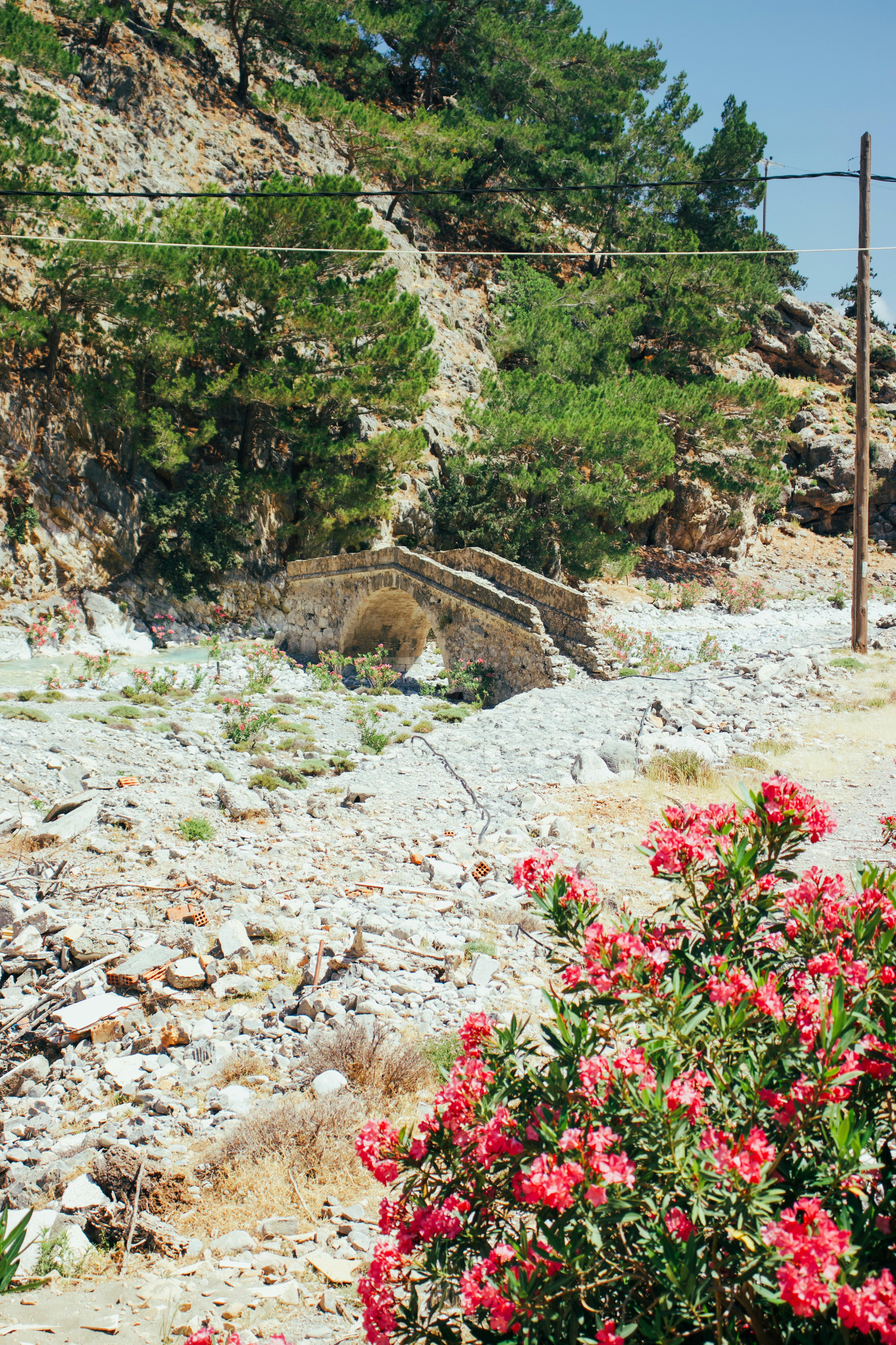 Old stone bridge over dry riverbed with pink flowers