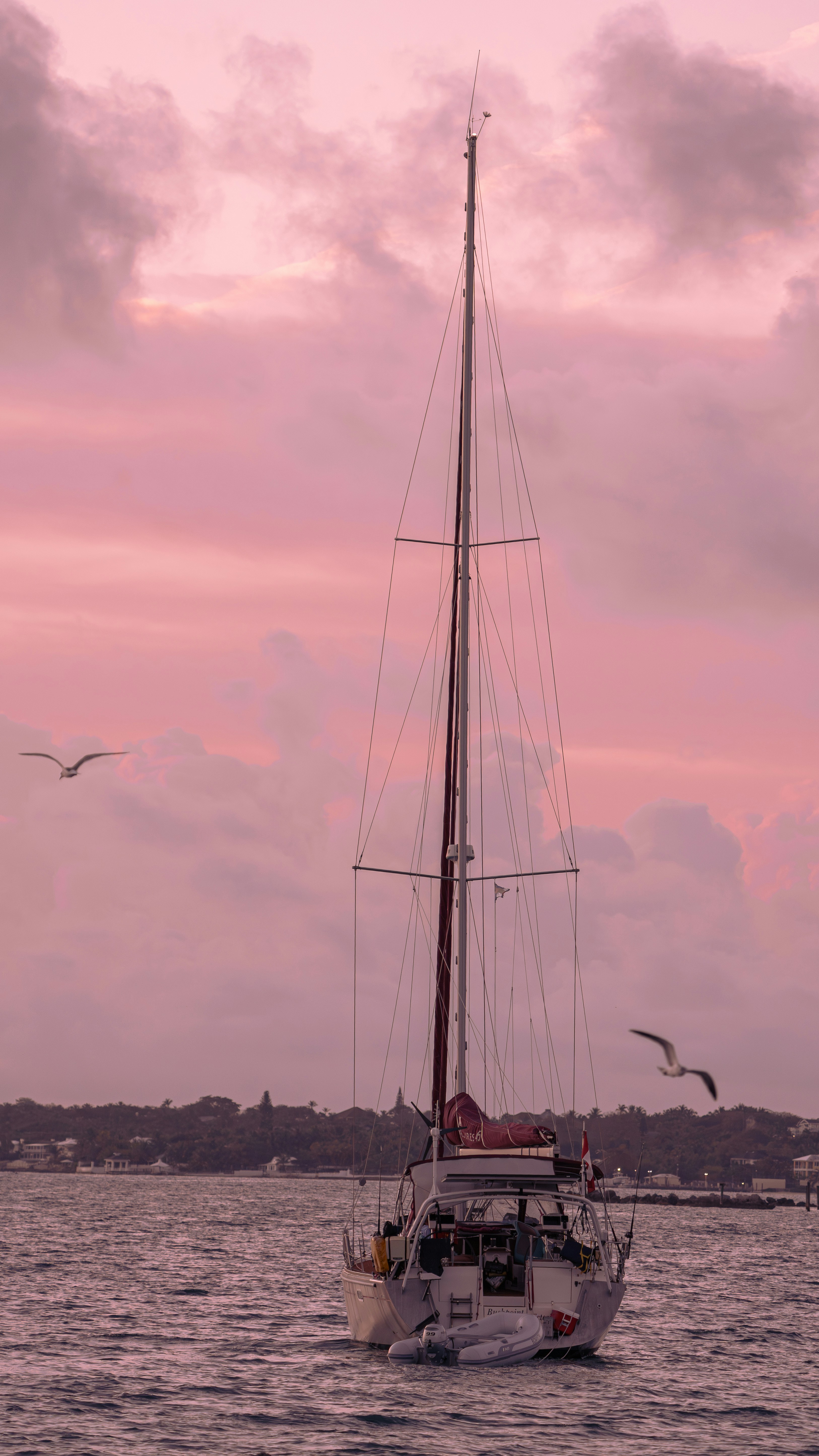 A sailboat on the water under a pink sky with two flying seagulls