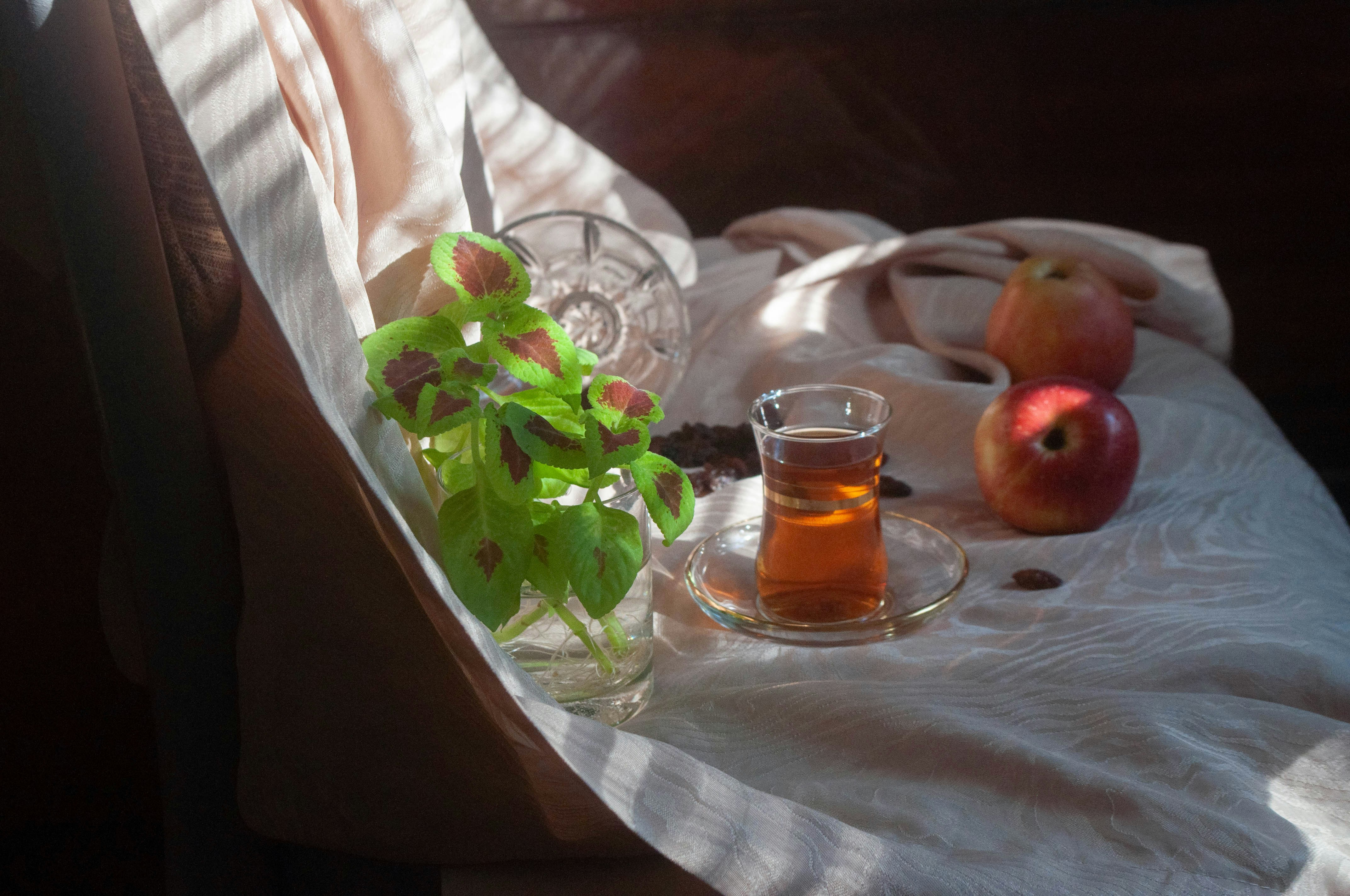 Discipline Is Not Your Dosha: Why Ayurveda Favors Structure Over Sheer Willpower