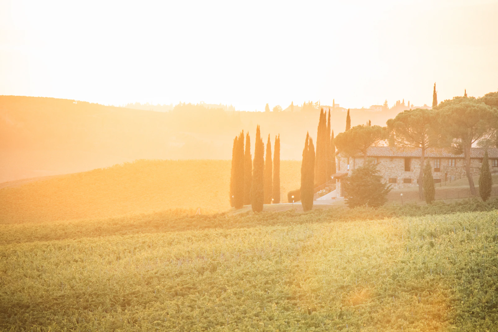 Villa la Massa