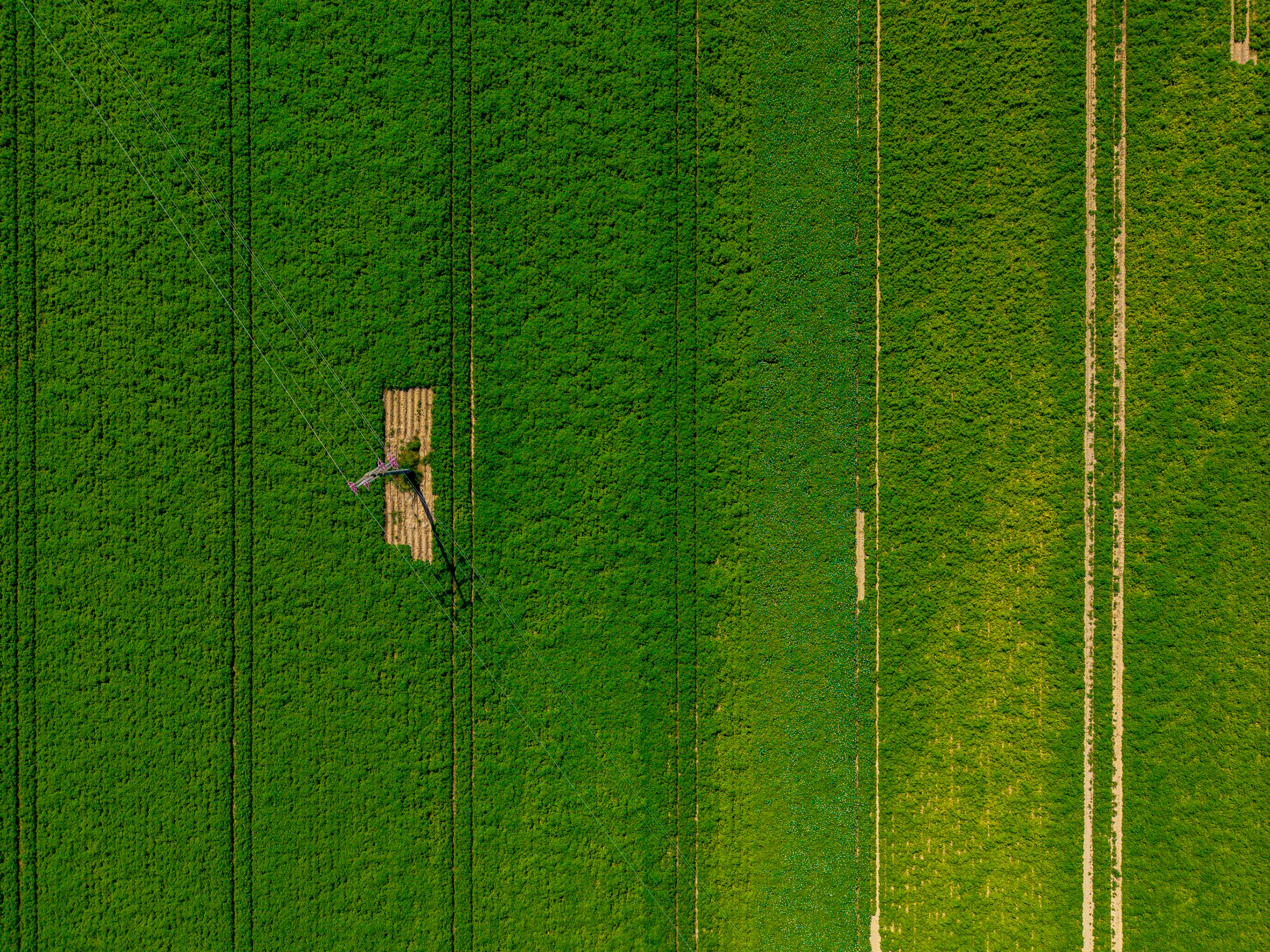 autonomous agricultural drone spraying field crops