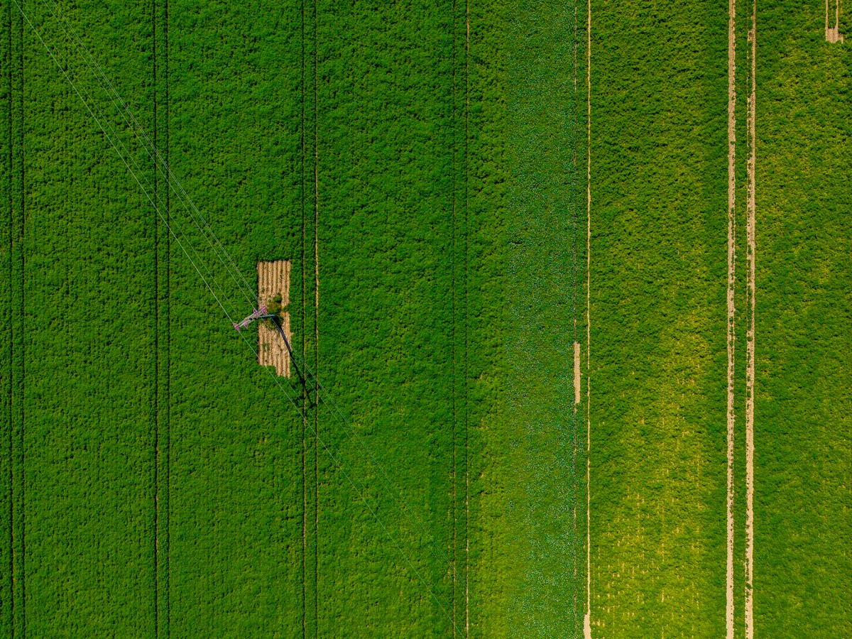 photo by Bernd Dittrich (@hdbernd) on unsplash