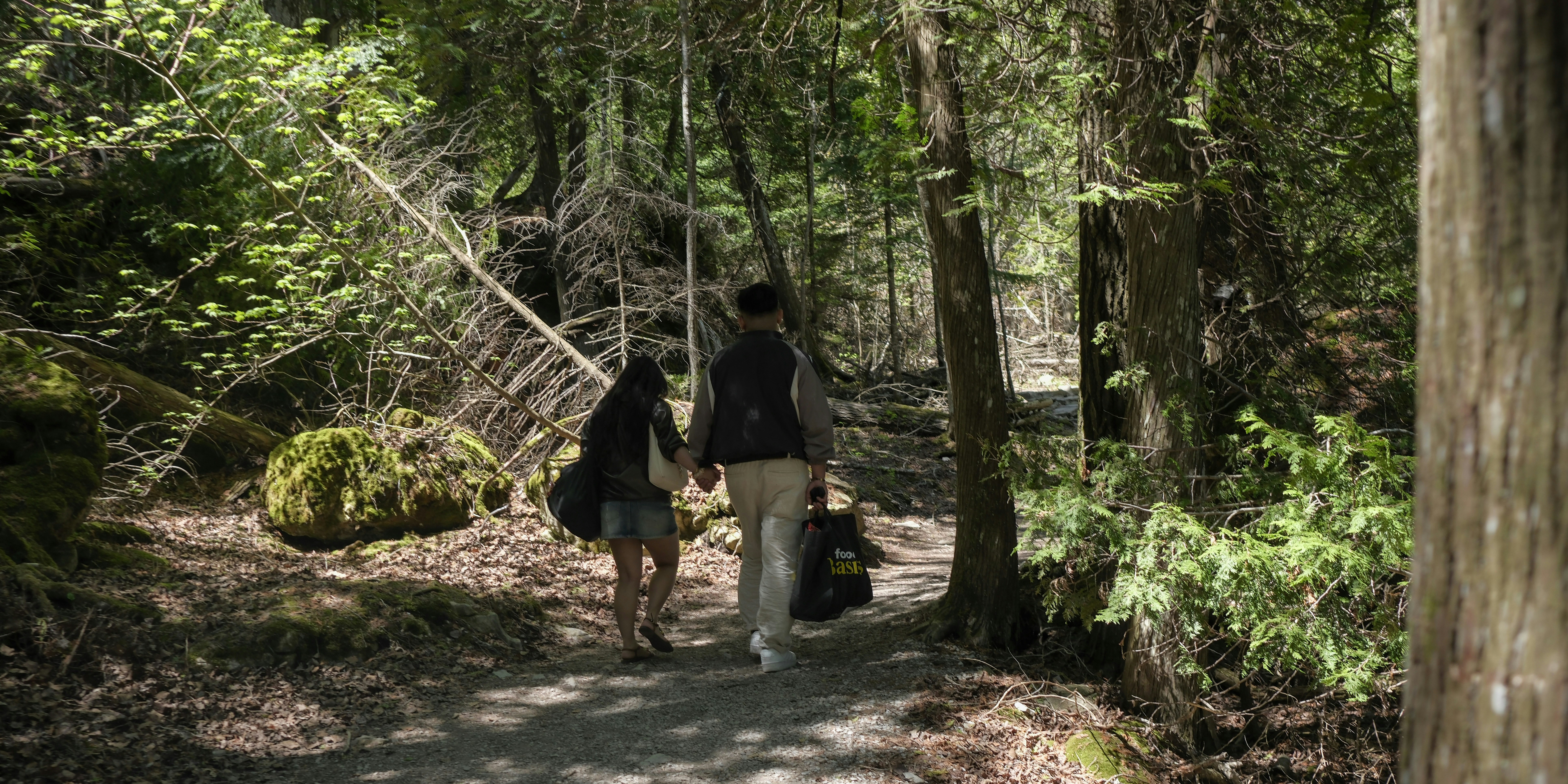 A couple walks hand-in-hand on a forest path