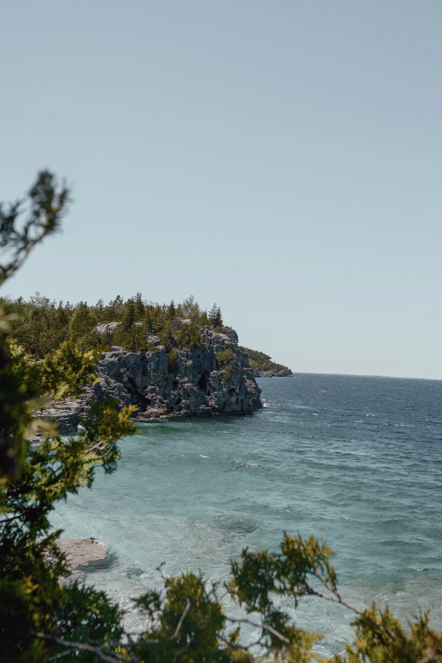Rocky shoreline with pines and clear blue water