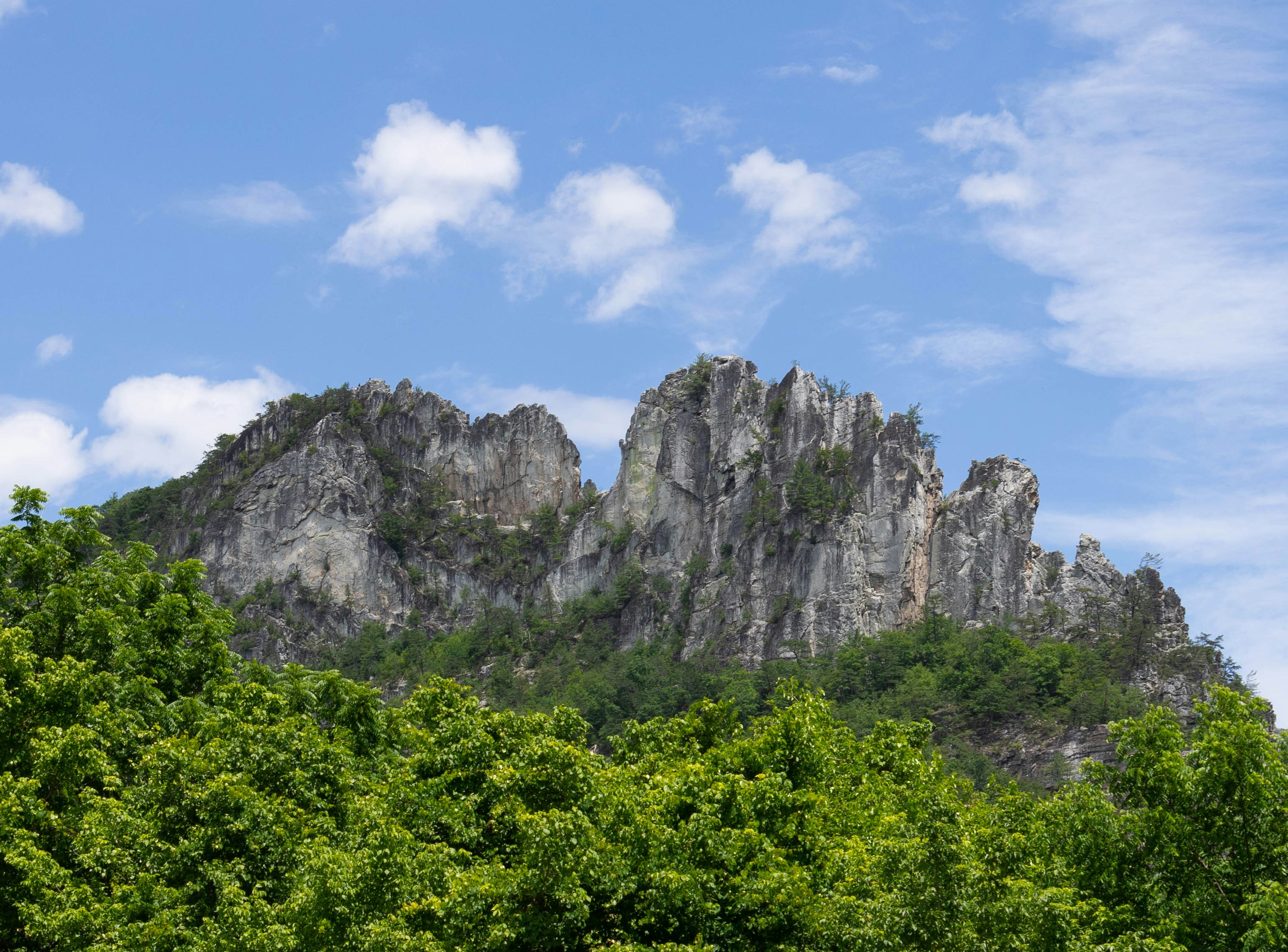 Picos das montanhas Rochosas acima de árvores verdes sob céu azul.