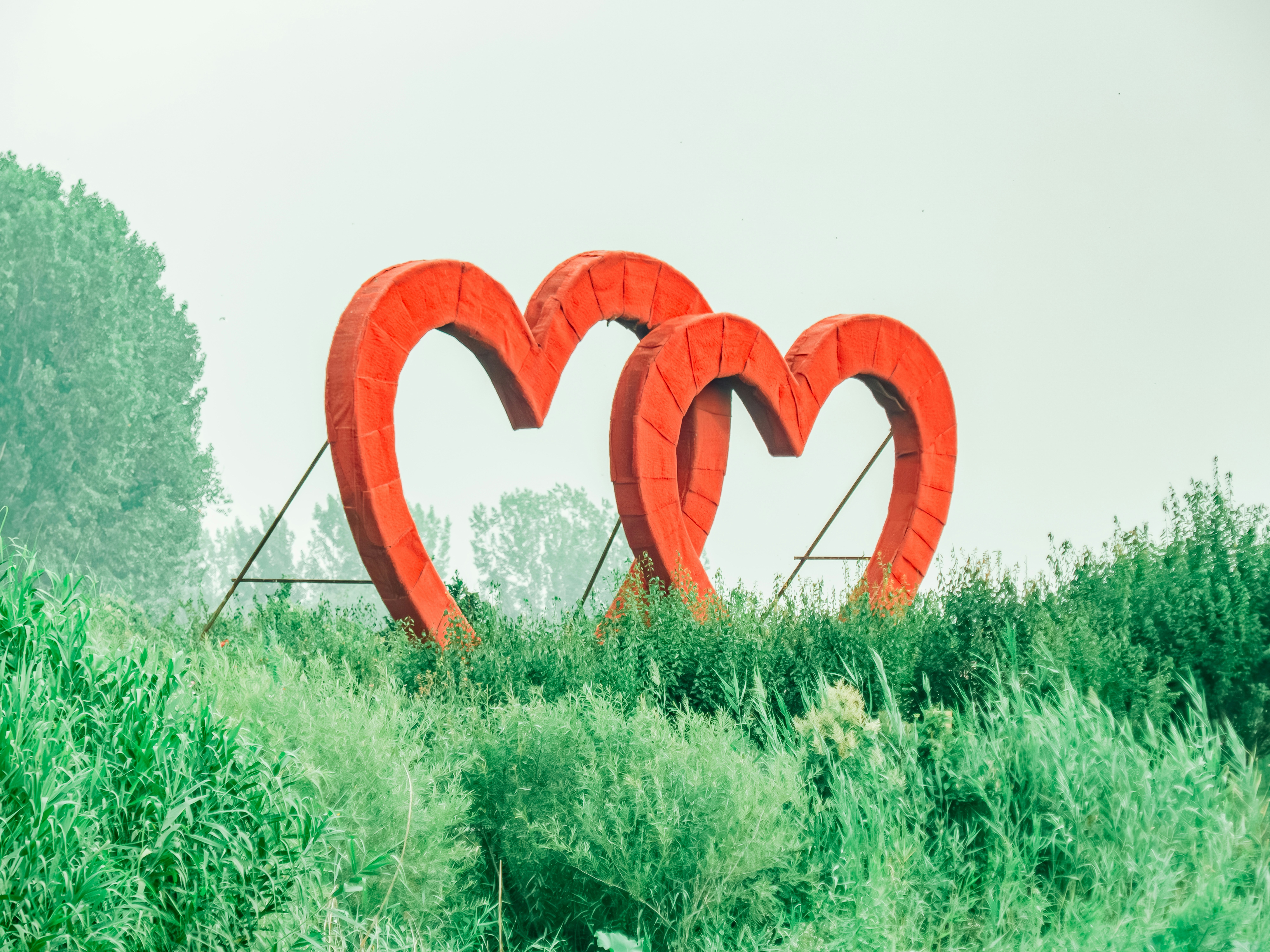 Two large red heart sculptures on a grassy hill