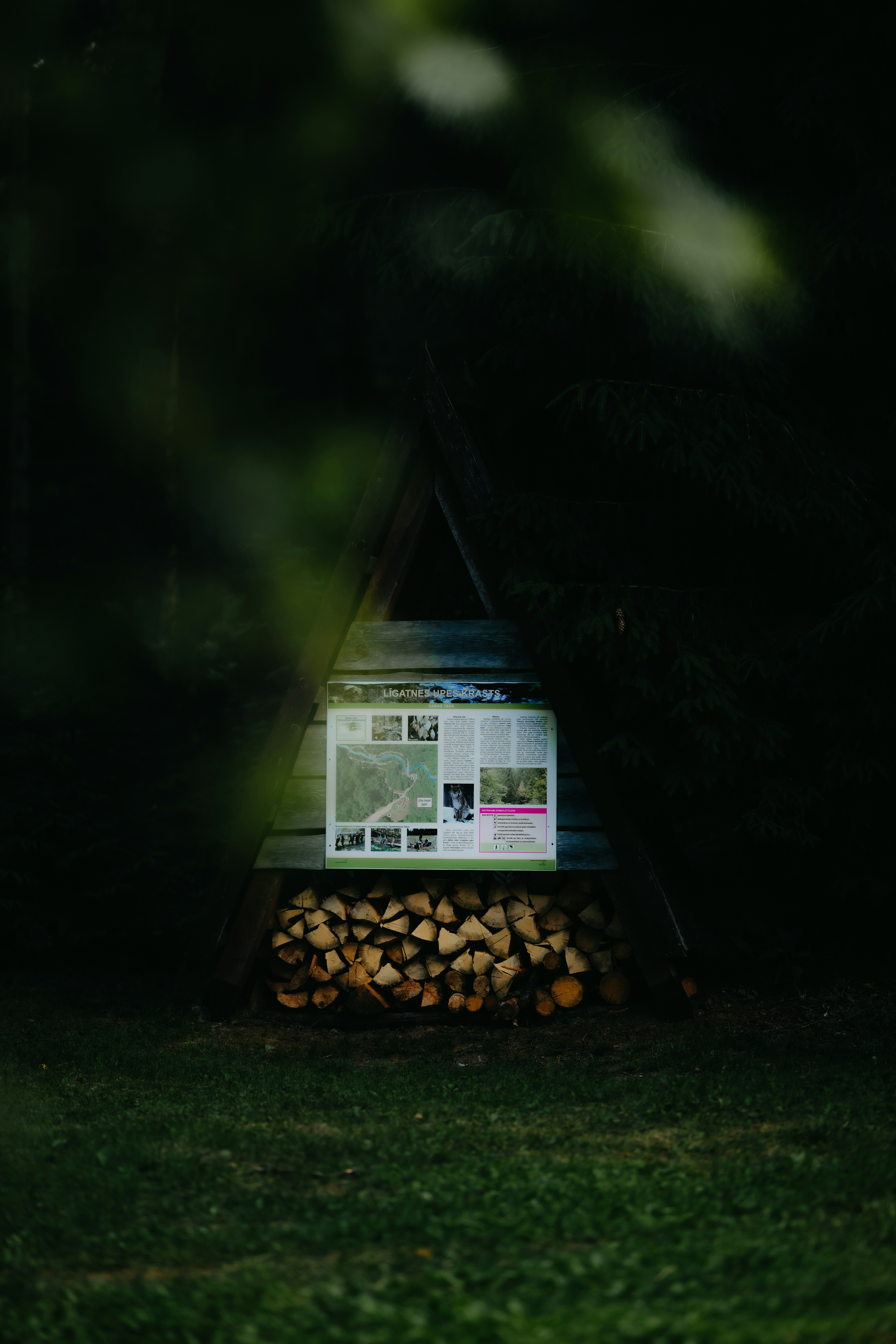 Papan informasi di atas kayu bakar yang ditumpuk di hutan yang remang-remang.