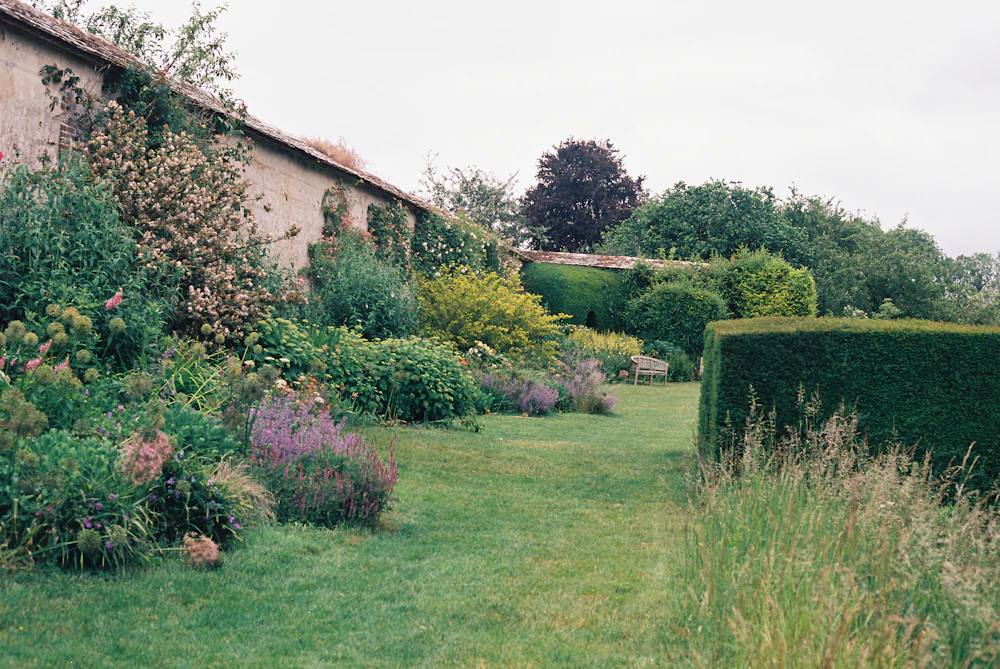 Taille architecturée, réalisation paysagère à Chaponost