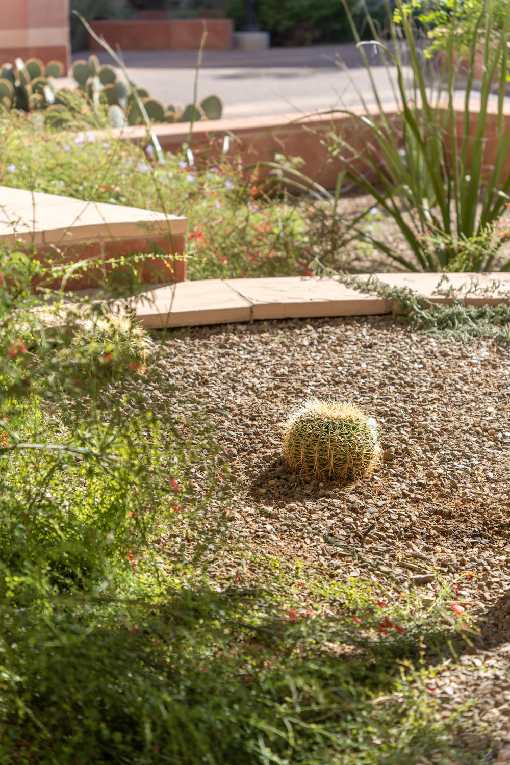 Xeriscaping & Turf in McKinney, TX