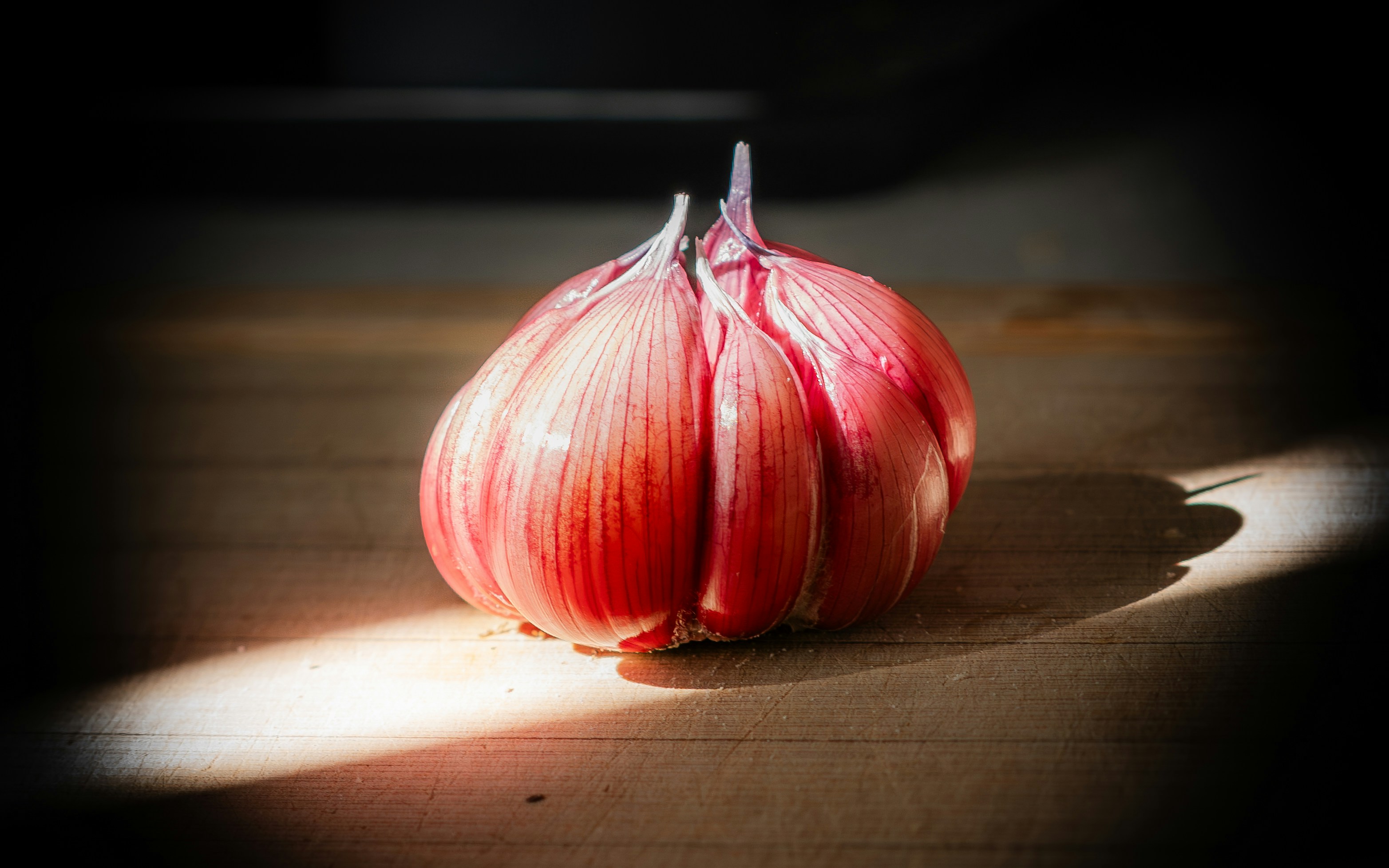 A vibrant red garlic head on a dark wooden background