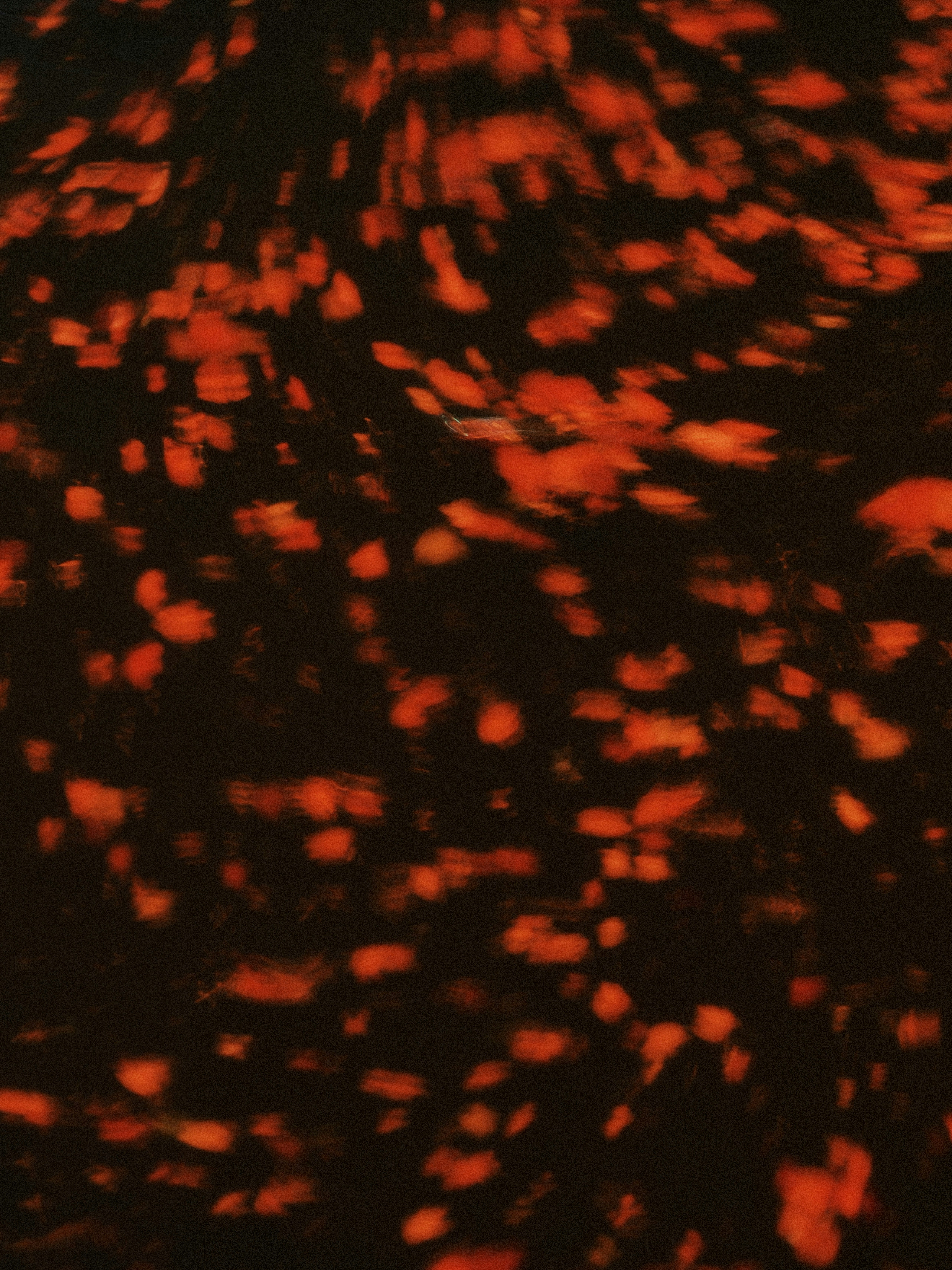 Reddish-orange abstract patterns on a dark background.
