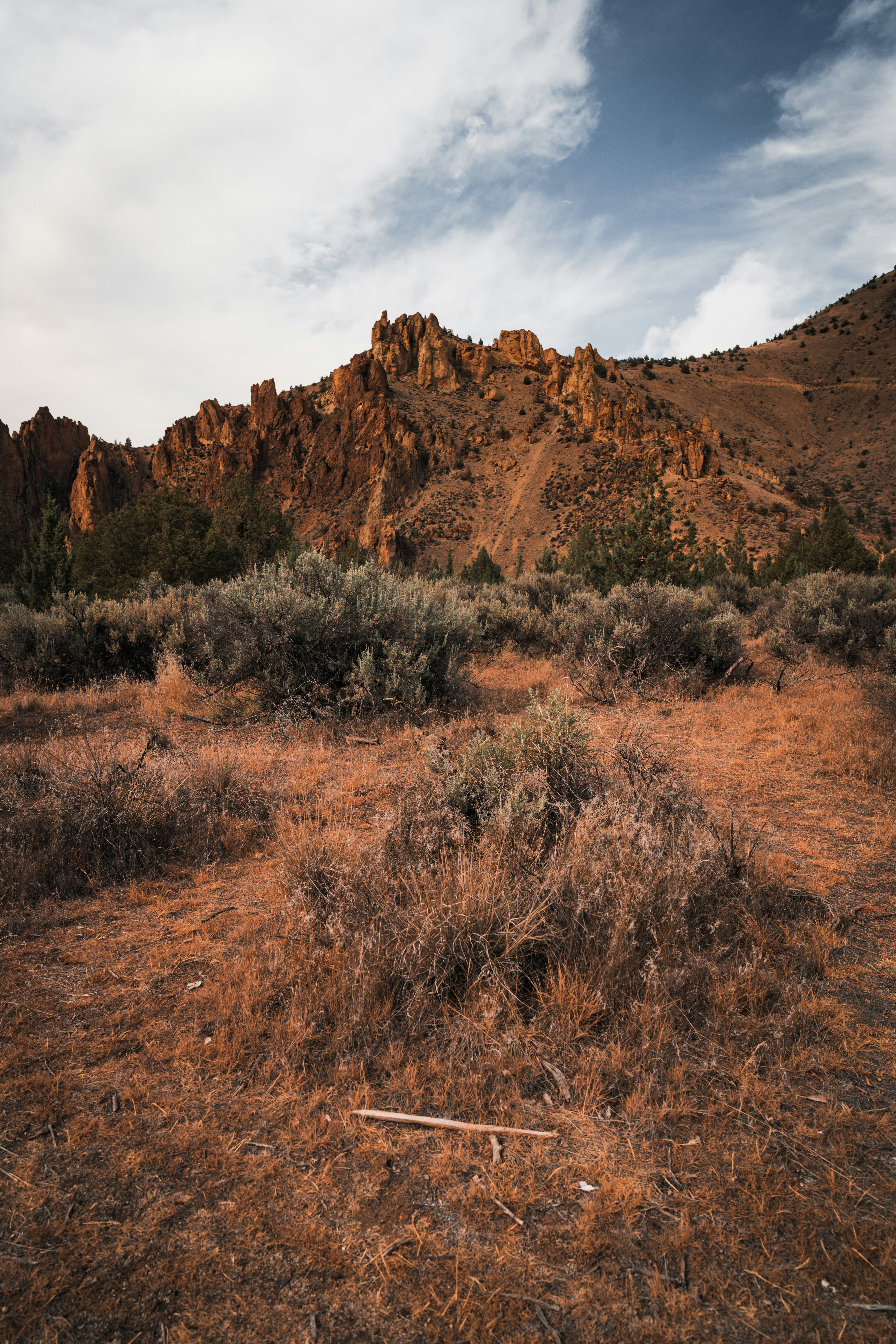 Paysage aride avec montagnes escarpées et végétation sèche.