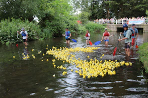 People guide yellow rubber ducks down a river.