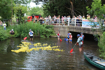 Spectators watch a yellow rubber duck race in a river.